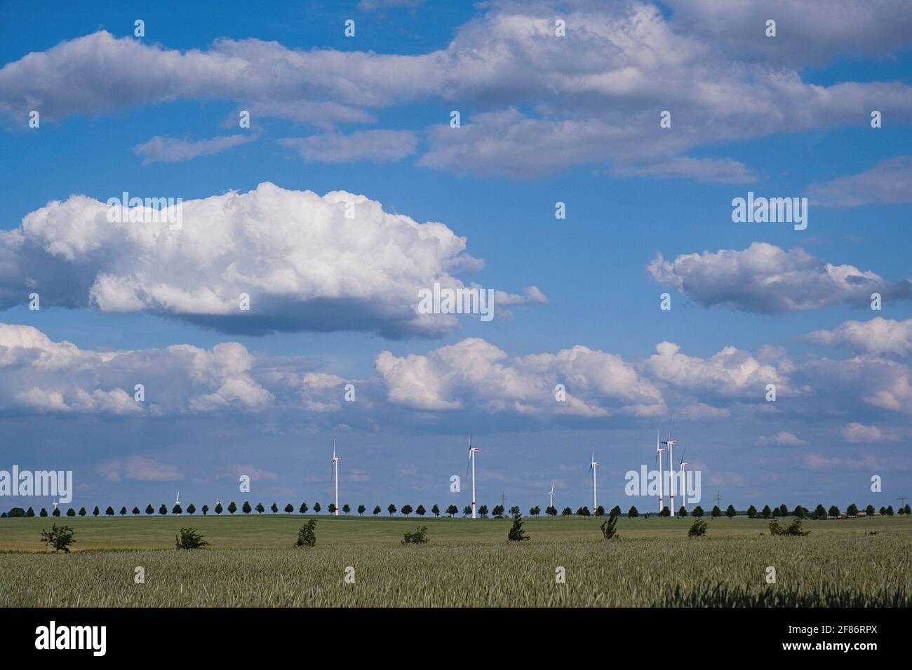 Turbine eoliche nel soleggiato e idilliaco campo rurale sotto le nuvole nel cielo blu, Brandeburgo, Germania Foto Stock