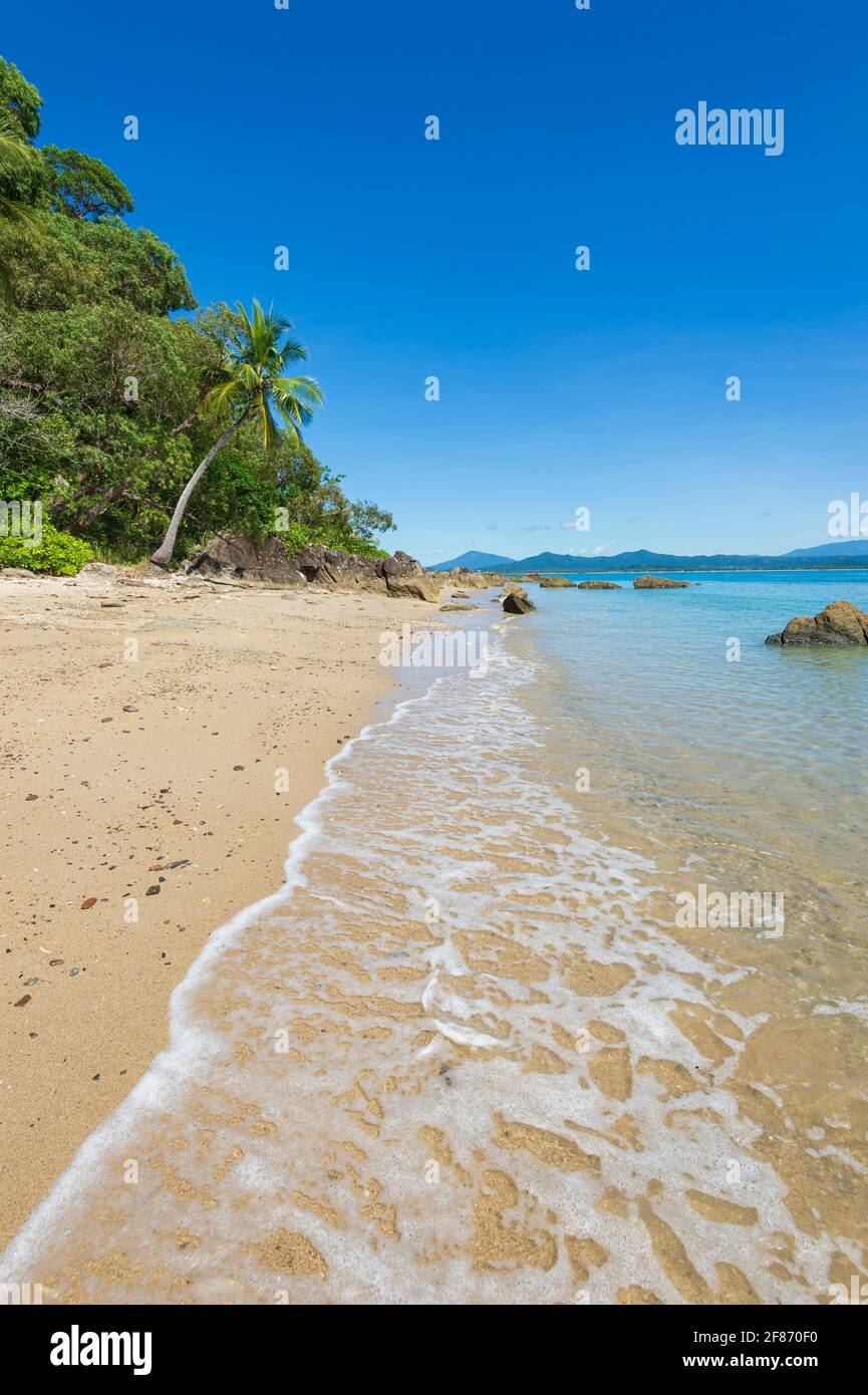 Vista verticale della spiaggia sabbiosa di Dunk Island, Queensland, Queensland, Queensland, Australia Foto Stock