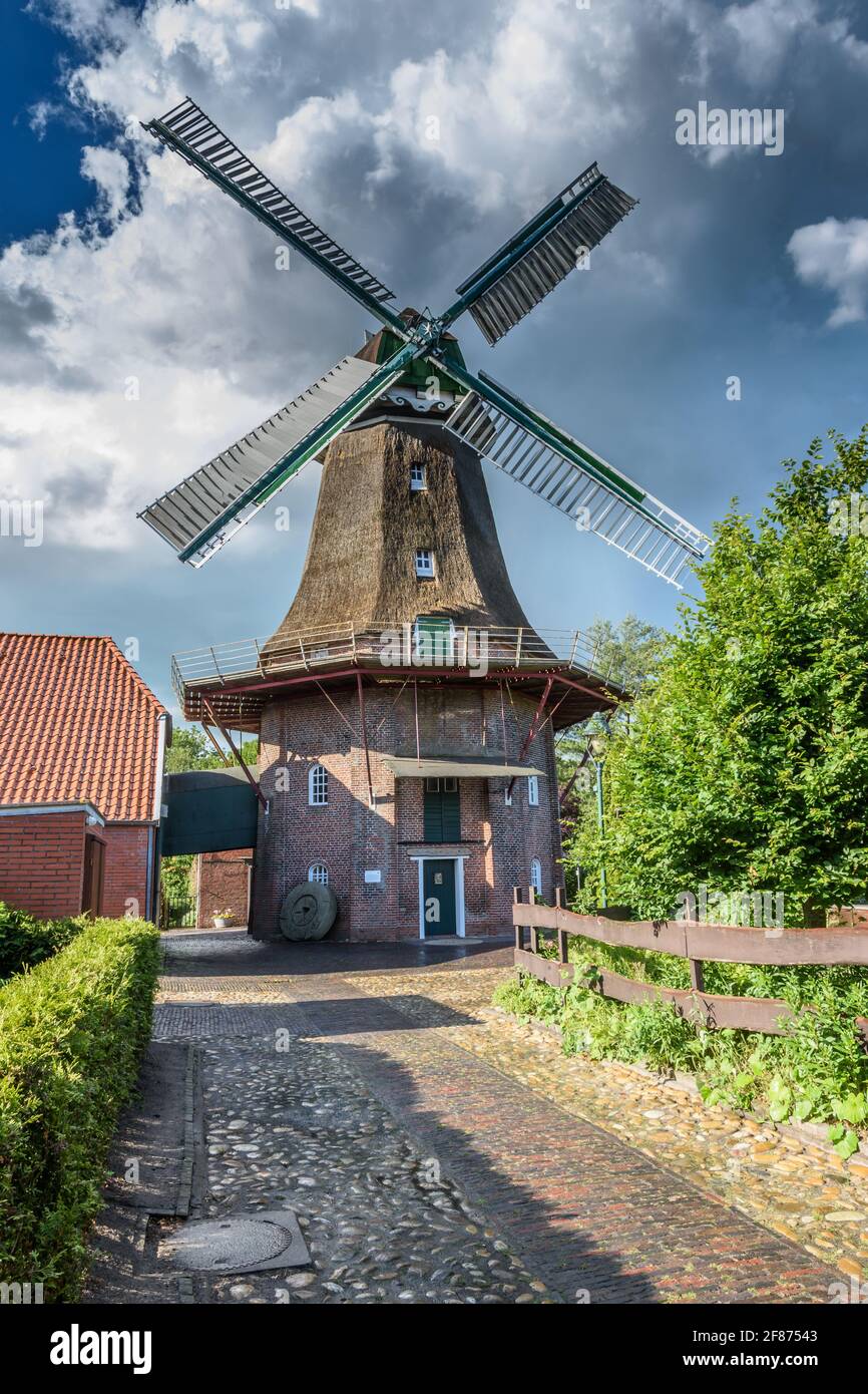 Peldemuehle Jemgum, antico mulino a vento nella Frisia orientale, bassa Sassonia, Germania Foto Stock