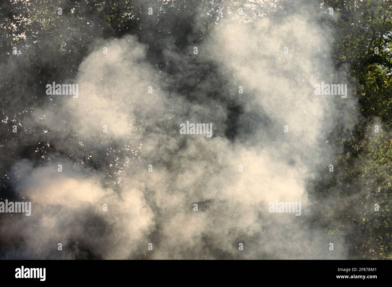 Pennacchi di fumo da un fuoco artificiale in campagna in estate closeup Foto Stock
