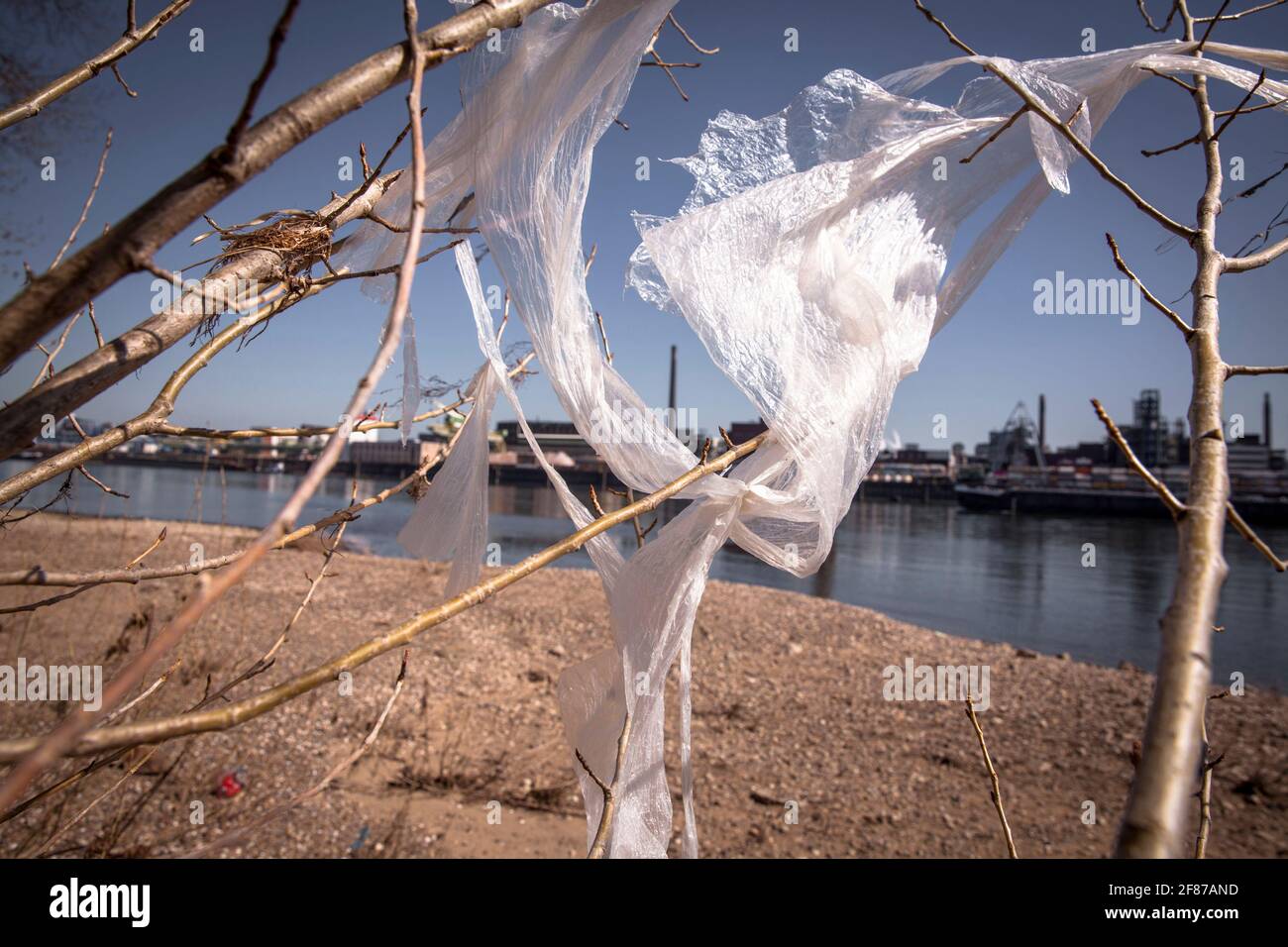 Resti di una lamina di plastica appesa in un cespuglio sulle rive del Reno a Merkenich, sullo sfondo il Chempark Leverkusen, Colonia, Germania. Riposo Foto Stock