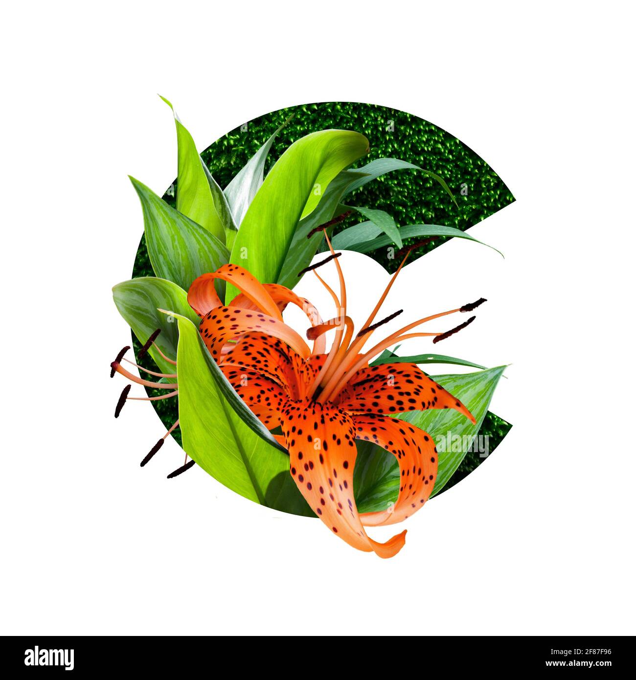 alfabeto floreale illustrazione, lettera c. insieme di lettere con bouquet botanico. inviti di nozze, biglietti d'auguri, compleanno, logo, poster altre idee Foto Stock