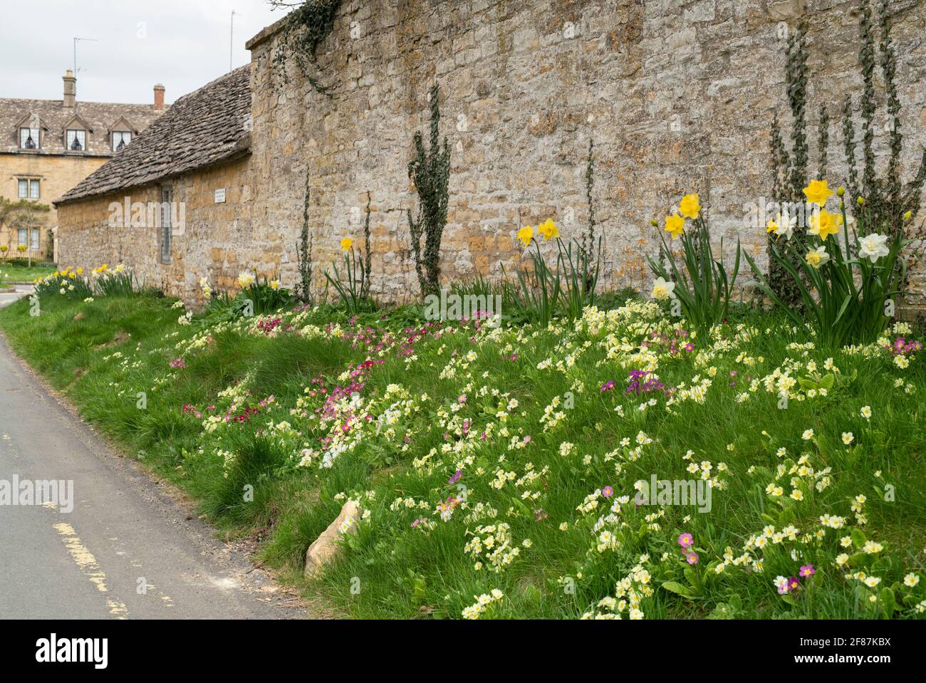 Fiori primaverili su una riva d'erba accanto alla strada nel villaggio di cotswold di Lower Slaughter. Cotswolds, Gloucestershire, Inghilterra Foto Stock