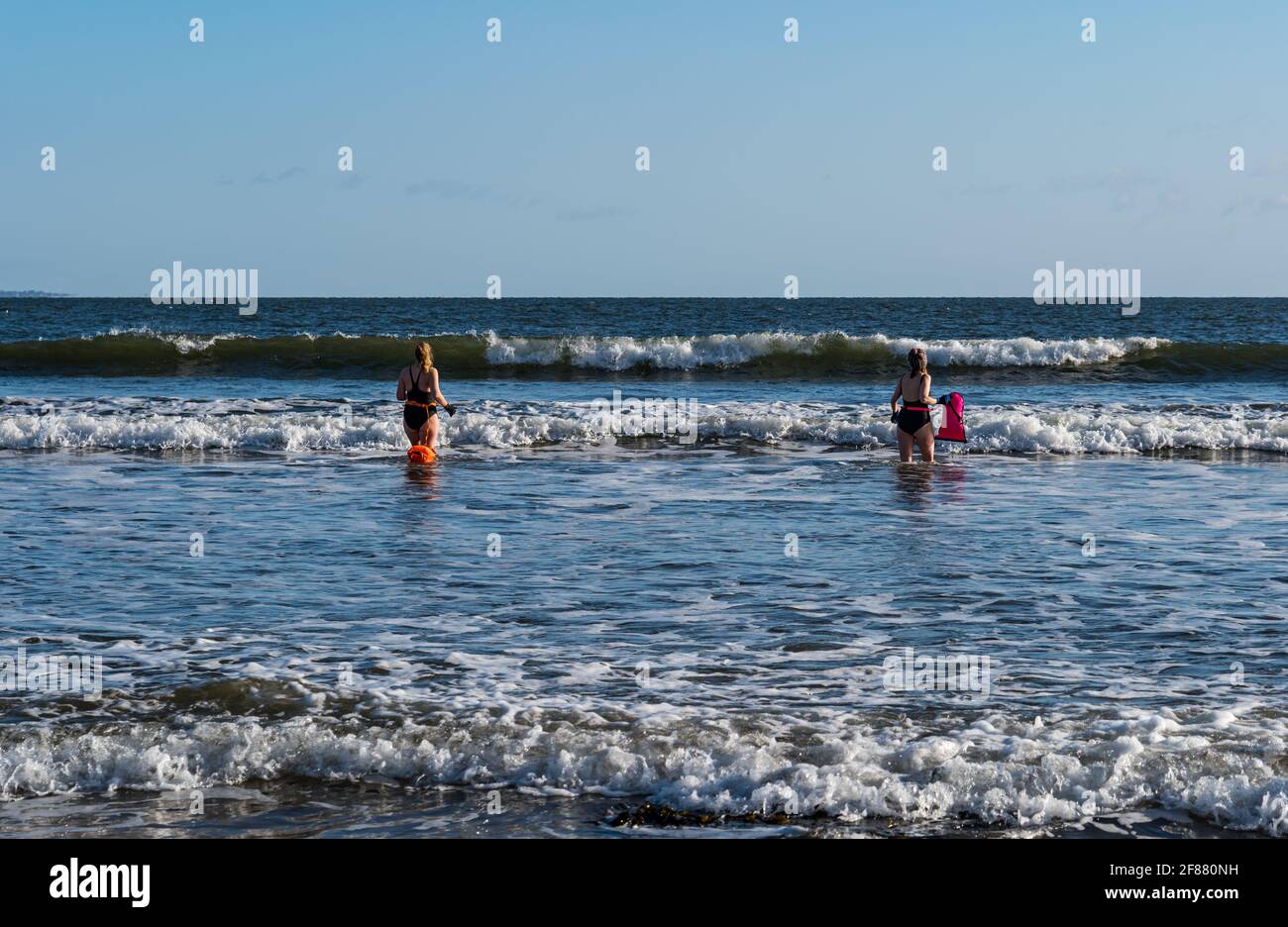 Due donne nuotatori selvatici o in mare aperto in costume da bagno con galleggianti vanno in mare in una giornata di sole, Firth of Forth, Scozia, Regno Unito Foto Stock