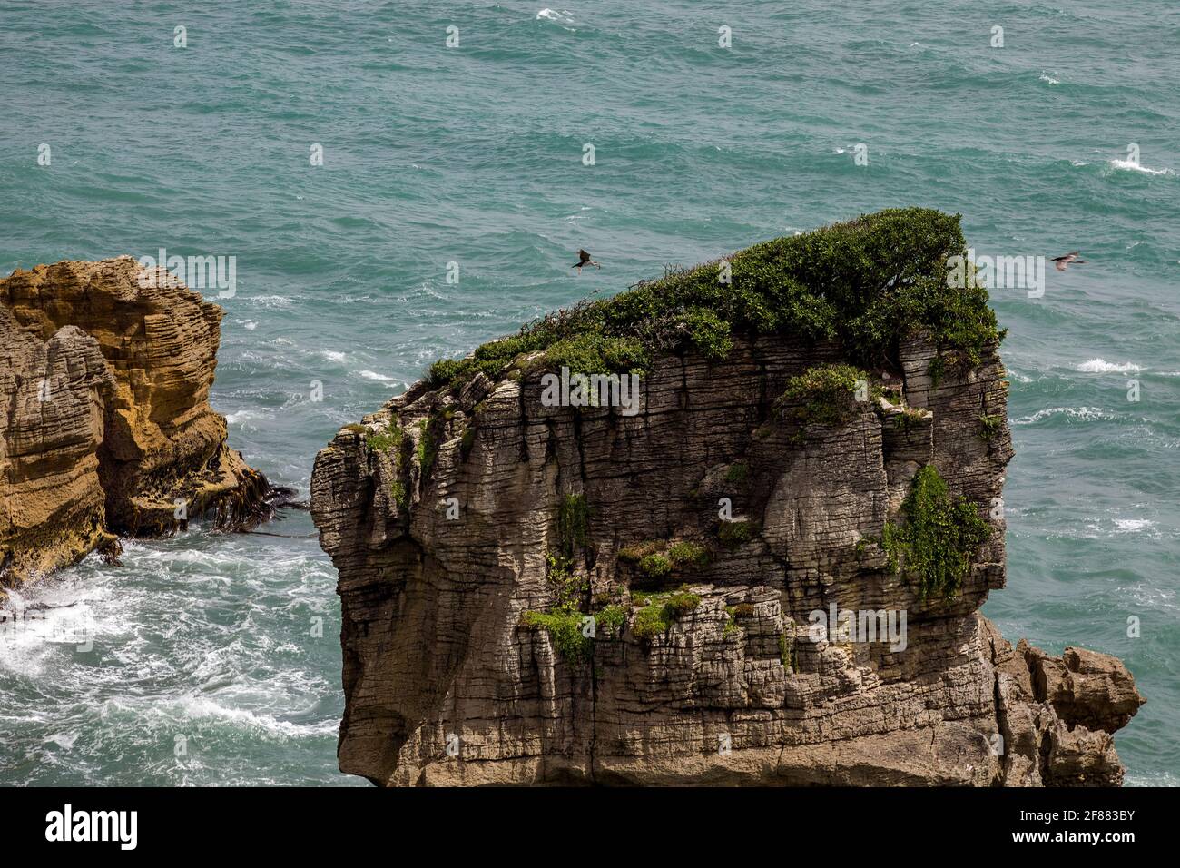 Pancake rocce vicino Punakaiki in Nuova Zelanda Foto Stock