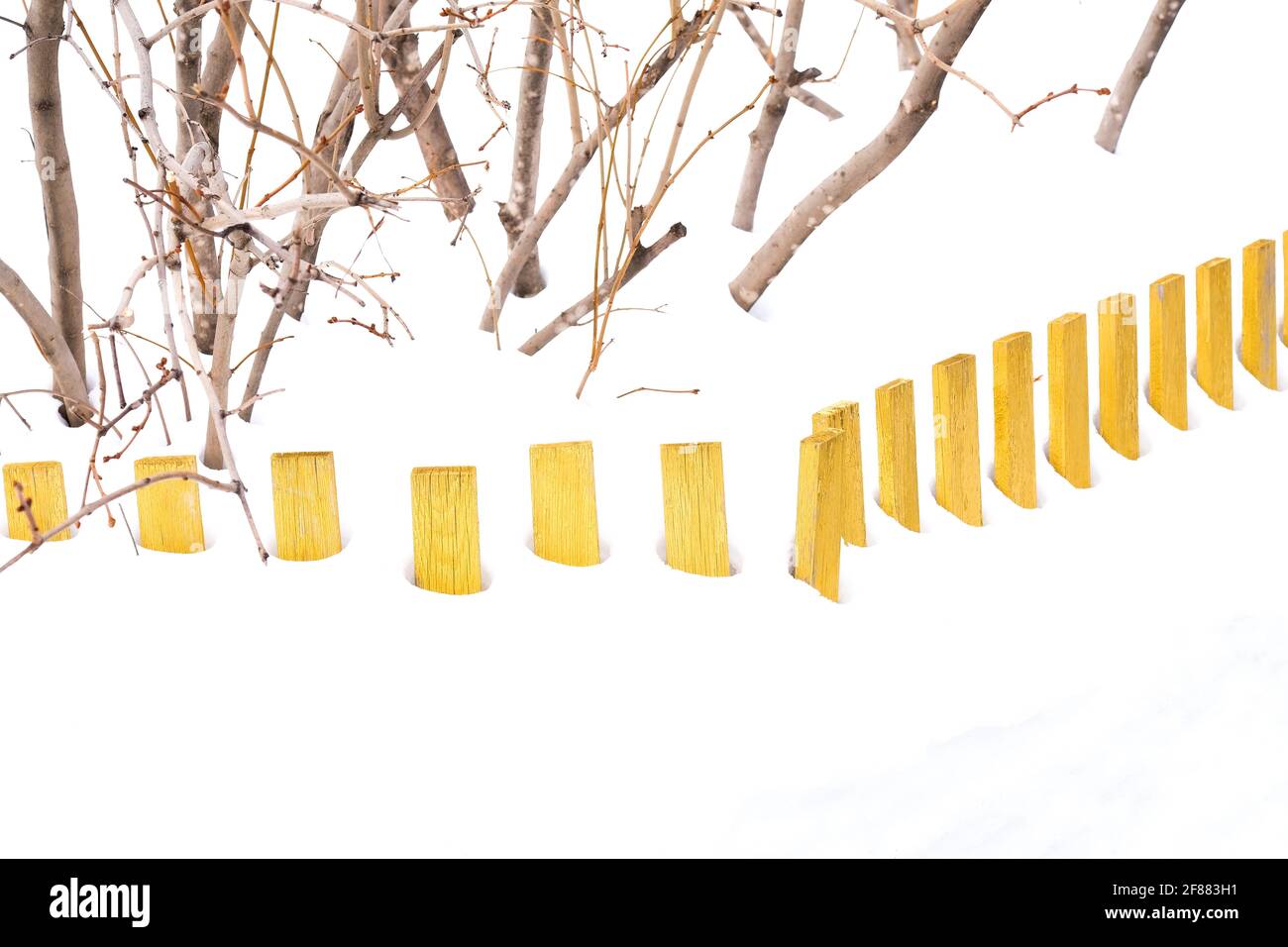 Recinzione bassa in legno giallo nella neve. Le boccole lilla sono visibili. Foto Stock
