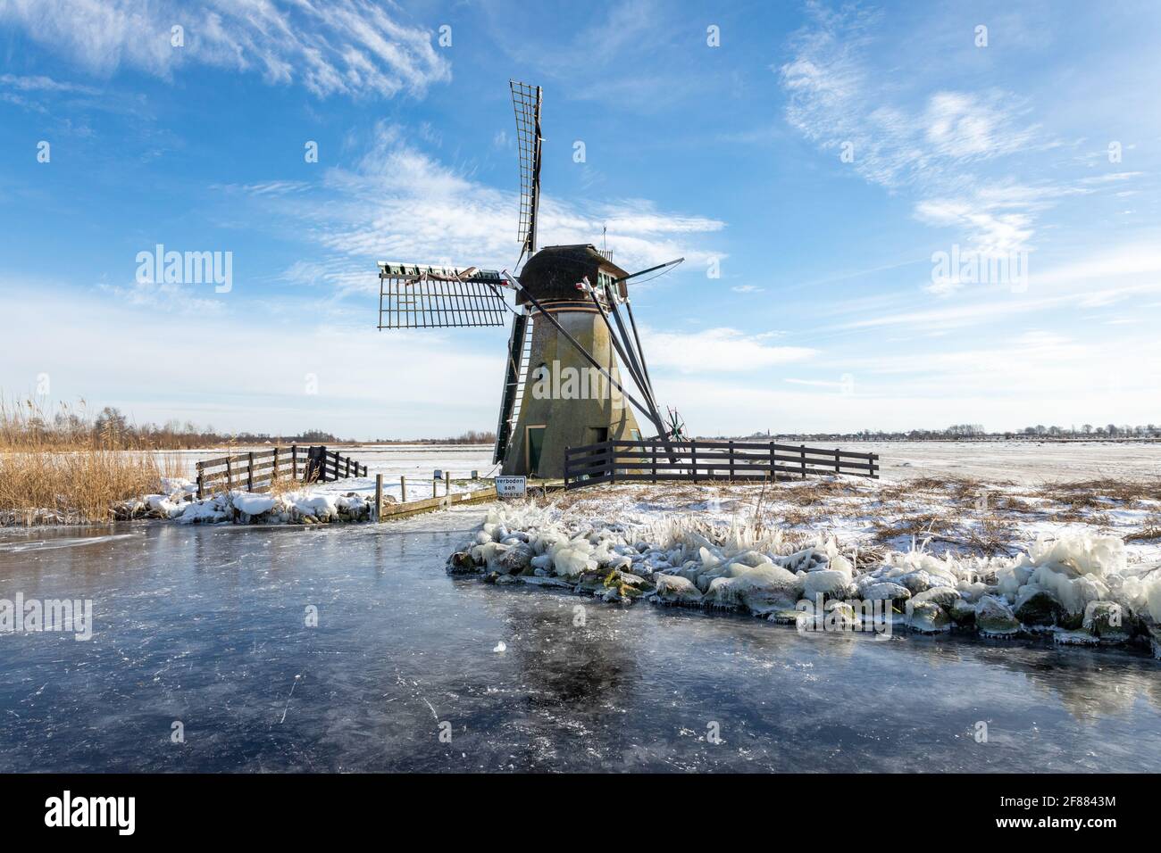 Mulino a vento storico 'de Kok' sulle rive del kogjespolder sul lago ghiacciato Kagerplassen nel comune di Warmond nei Paesi Bassi. Foto Stock