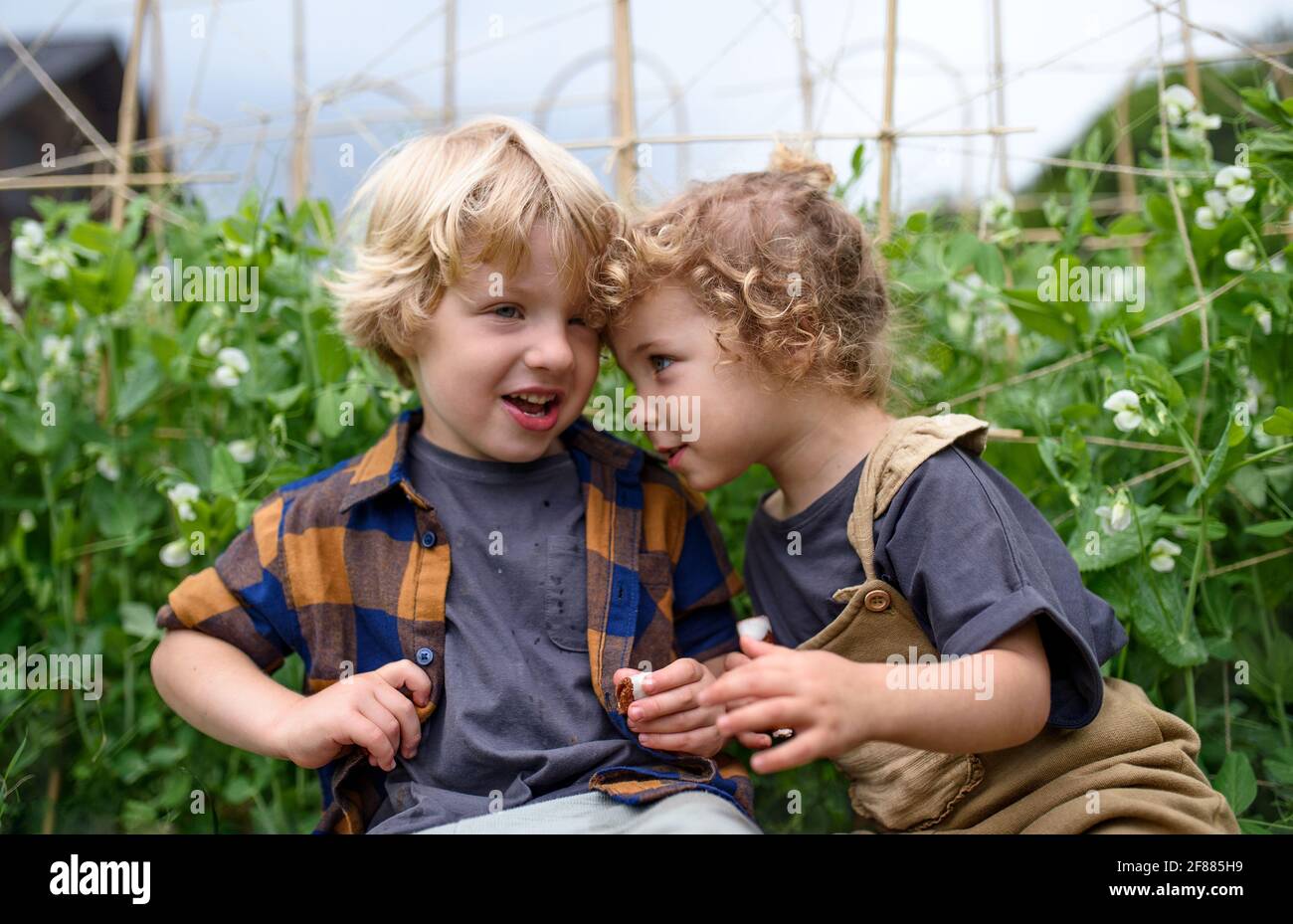 Ritratto di due bambini piccoli in orto, stile di vita sostenibile. Foto Stock