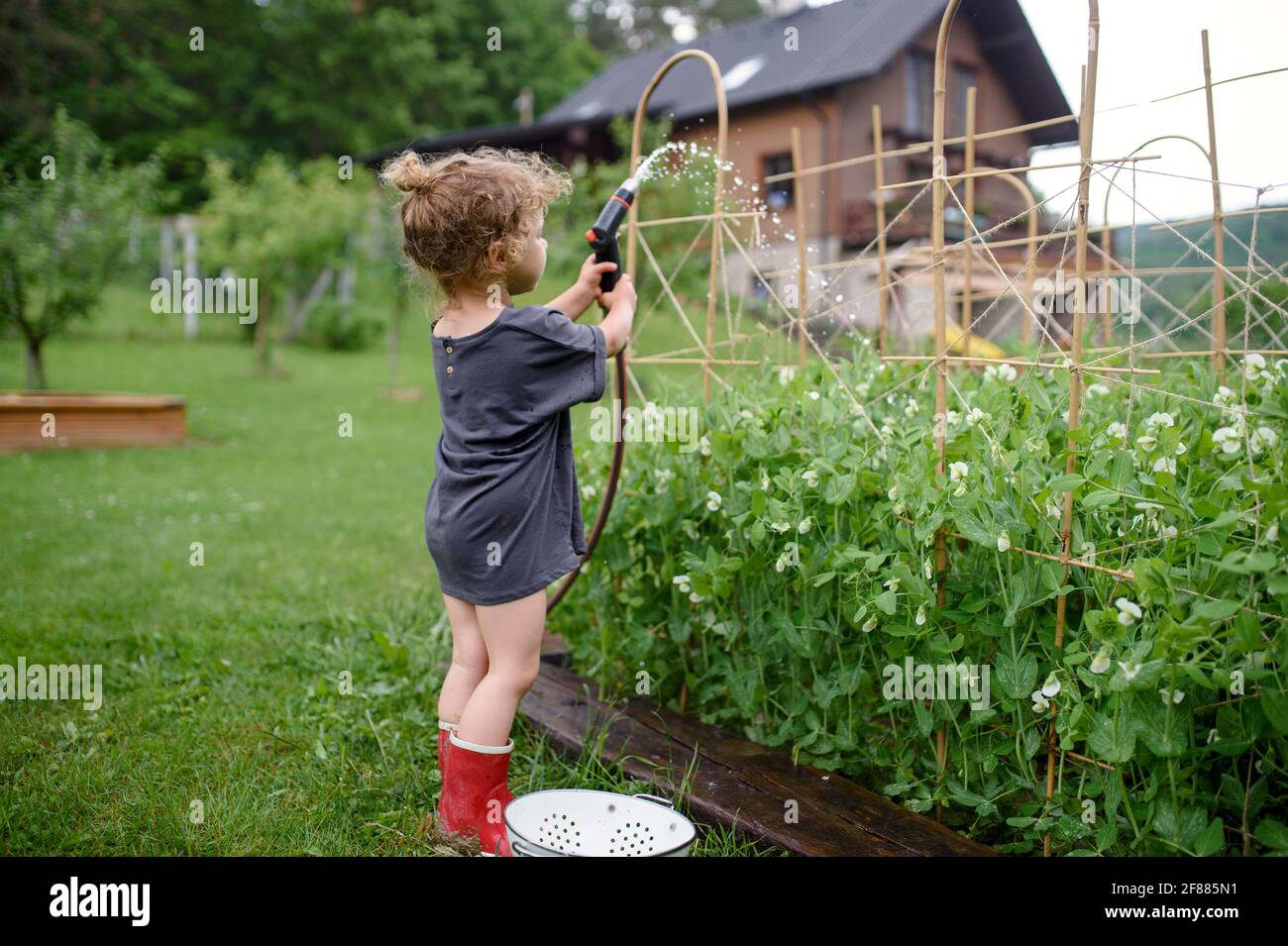 Vista laterale della bambina che lavora in orto, stile di vita sostenibile. Foto Stock
