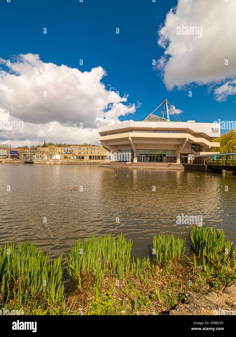 Central Hall e Vanbrugh College visti dal lato ovest del lago presso la York University, Regno Unito Foto Stock