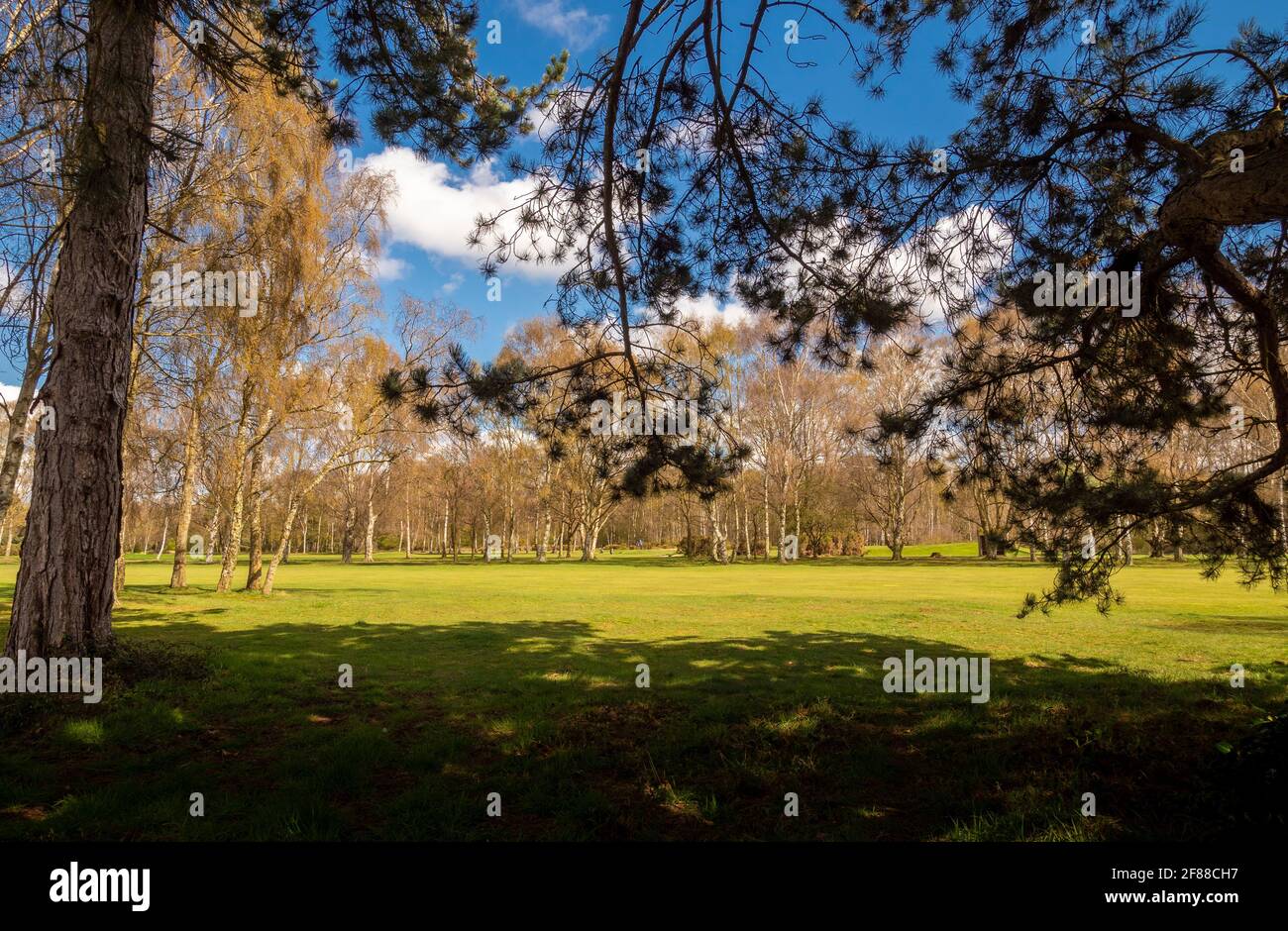 Campo da golf Fulford, York, Regno Unito Foto Stock
