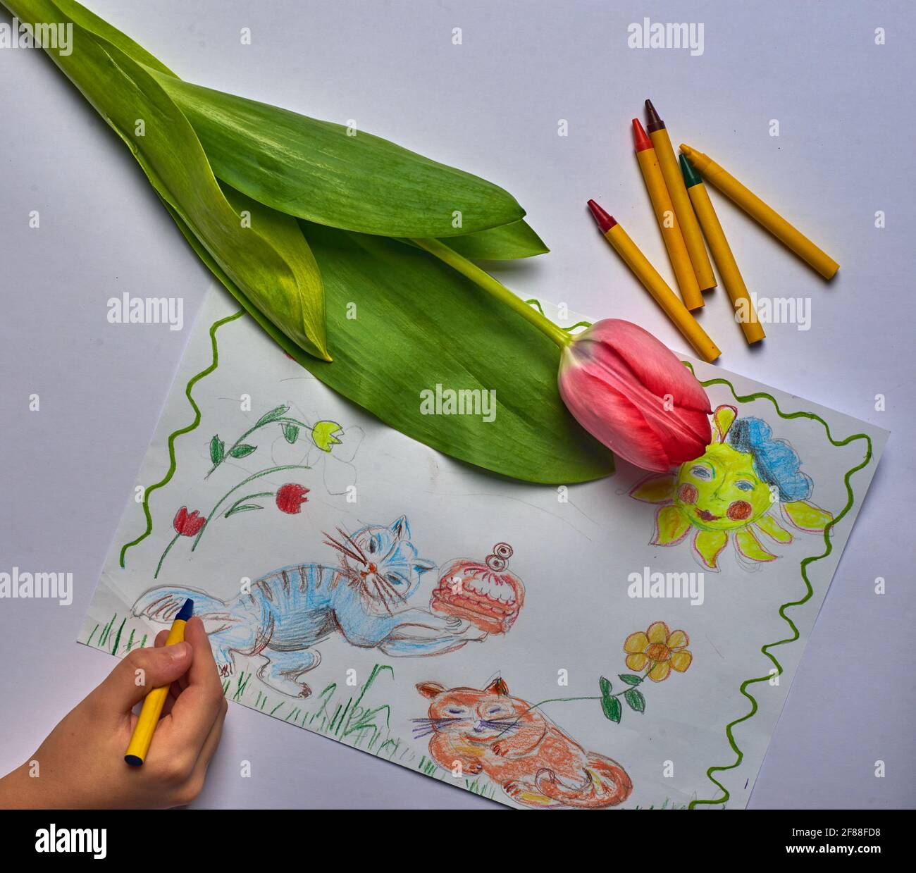 disegno di tulipano e primavera per bambini con penne in feltro su bianco carta Foto Stock