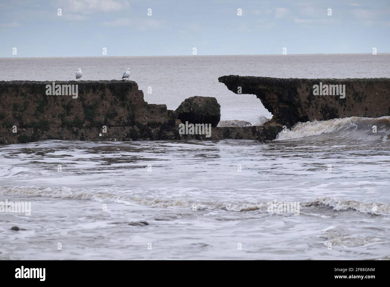 Difese di mare infrante, Walton sul naze, tendring, Essex Inghilterra Foto Stock