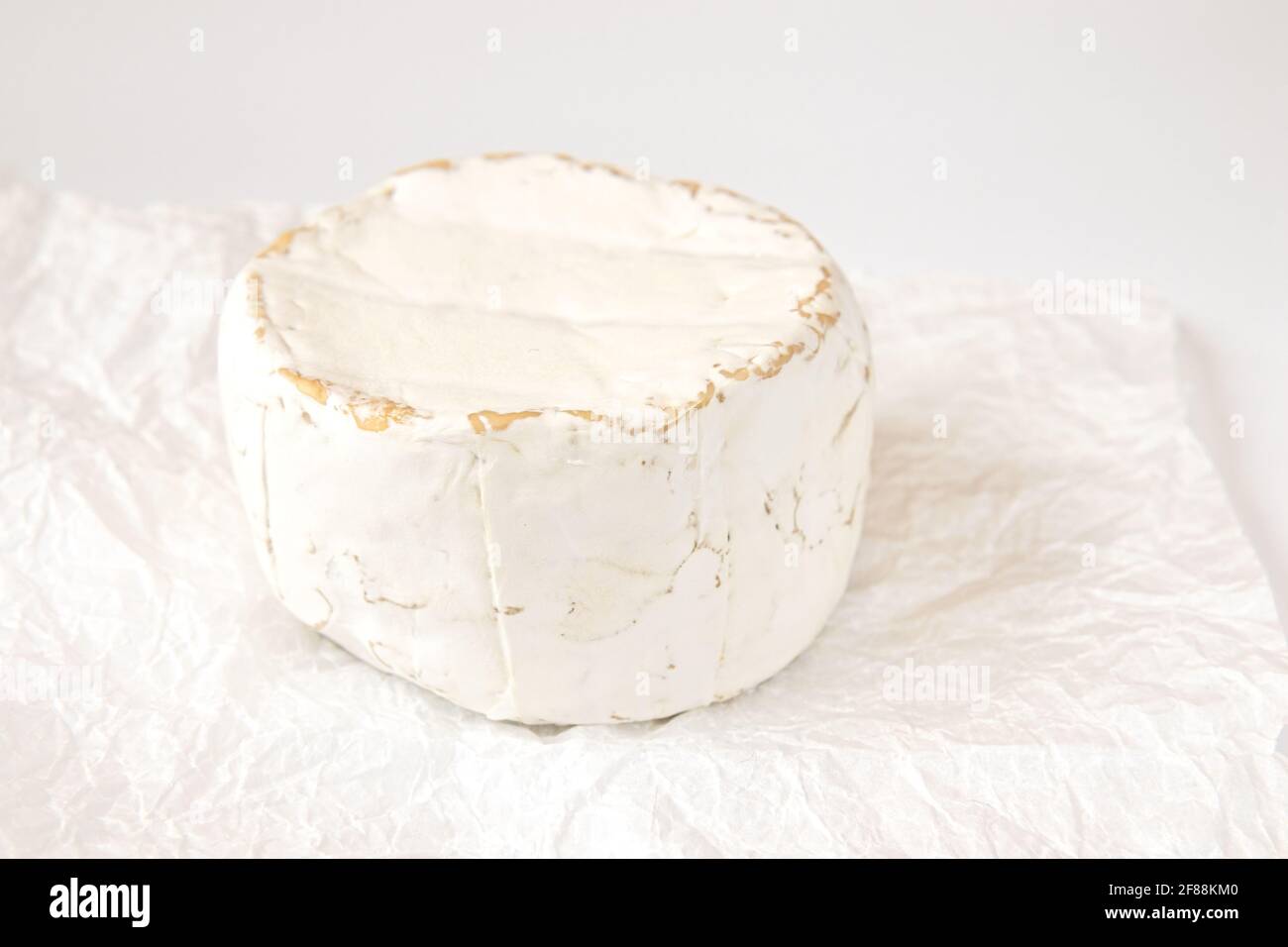 formaggio camembert o brie su sfondo bianco, formaggio su carta pergamena bianca, testa di gustoso camembert o brie formaggio, formaggio francese Foto Stock