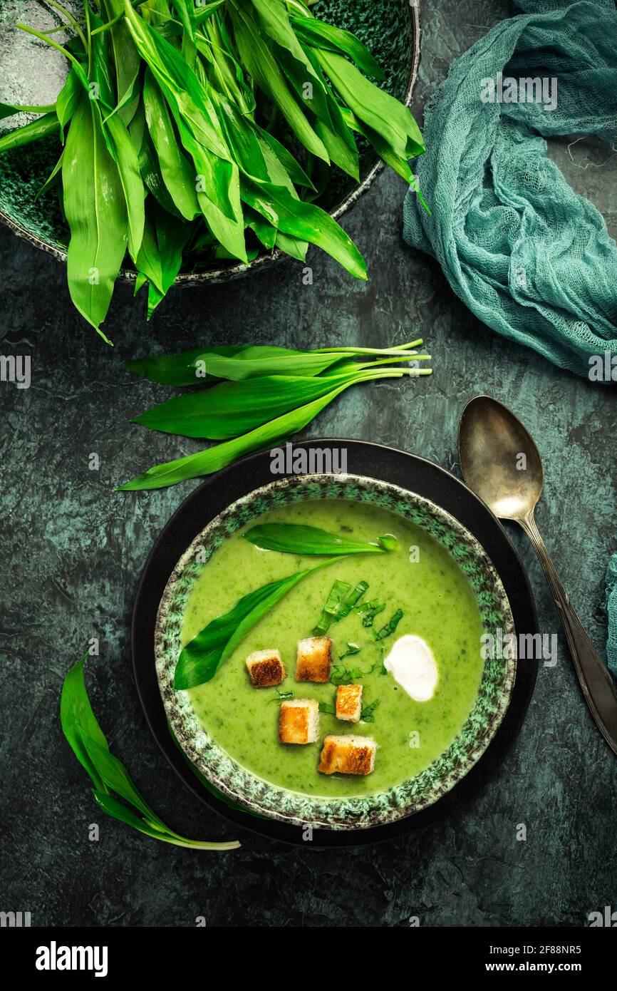 Zuppa di porri o zuppa di ramson con crostini, panna acida e spiedino di tacchino su sfondo verde Foto Stock