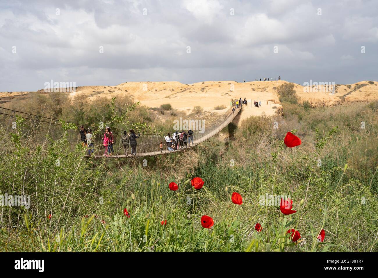 Regione di Habesor, Israele - 12 marzo 2021: Turisti sul ponte di Habesor, Israele, e sulle colline sabbiose intorno ad esso, in una giornata di lavoro. Papaveri blosso Foto Stock