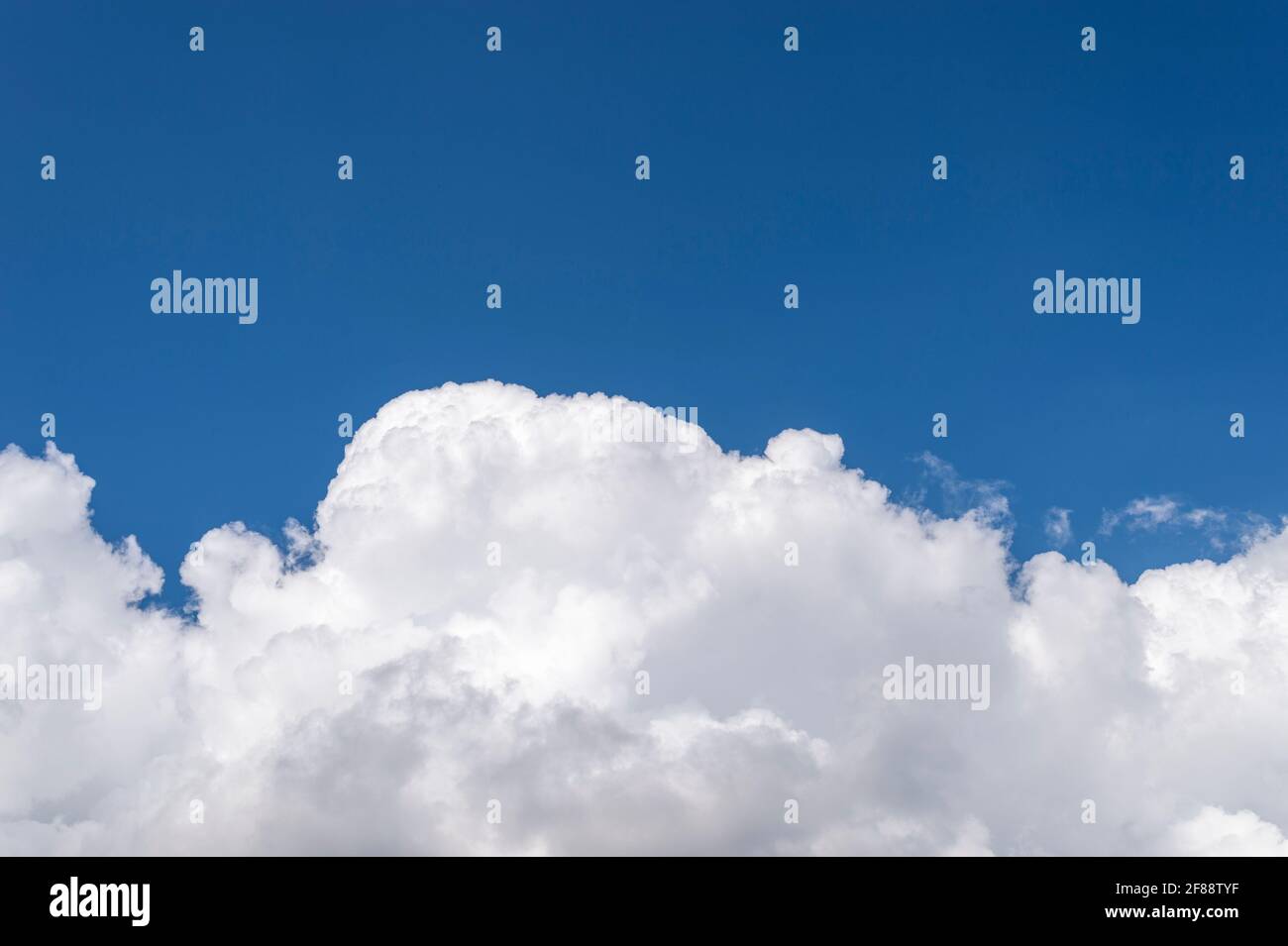 Cielo blu chiaro e grande bella nuvola bianca. Metà del cielo blu, mezza nuvola bianca. Spazio di copia Foto Stock
