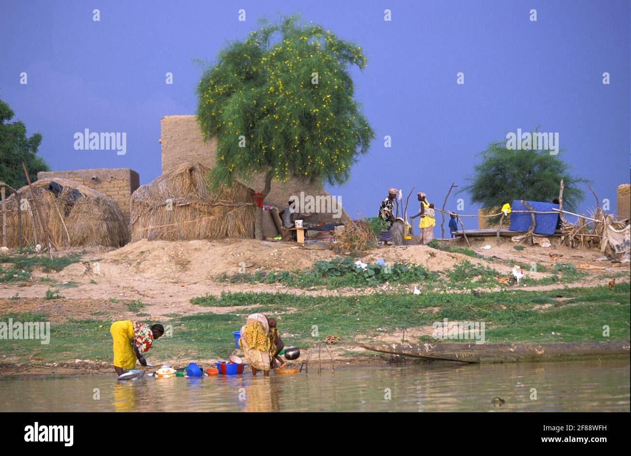 Mopti, regione del Delta del Niger interno, Mali Foto Stock