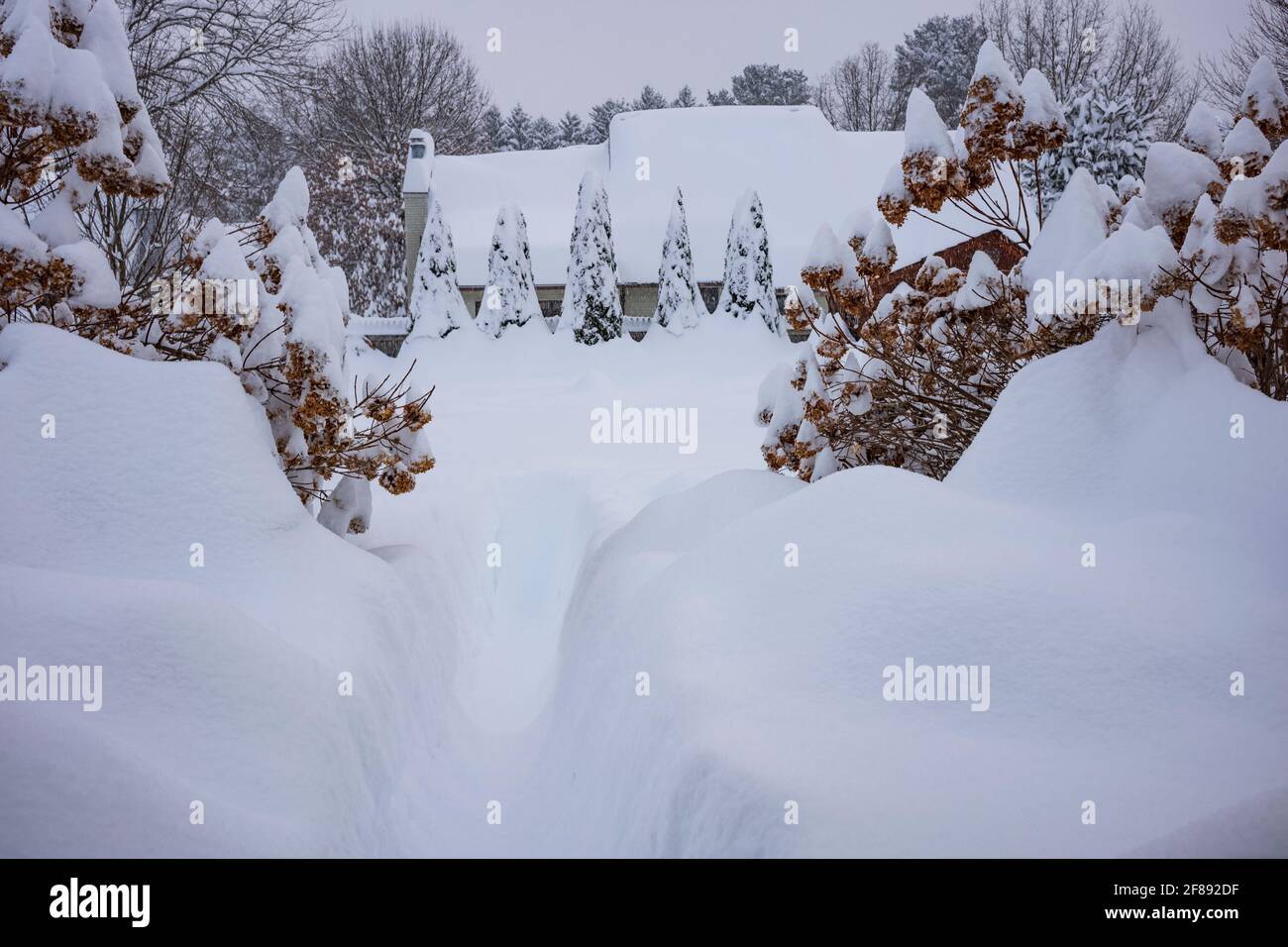 Un cortile sepolto nella neve dopo una bizzarda invernale cadde per oltre 40 centimetri durante la notte in una tranquilla città dello stato di New York. Foto Stock