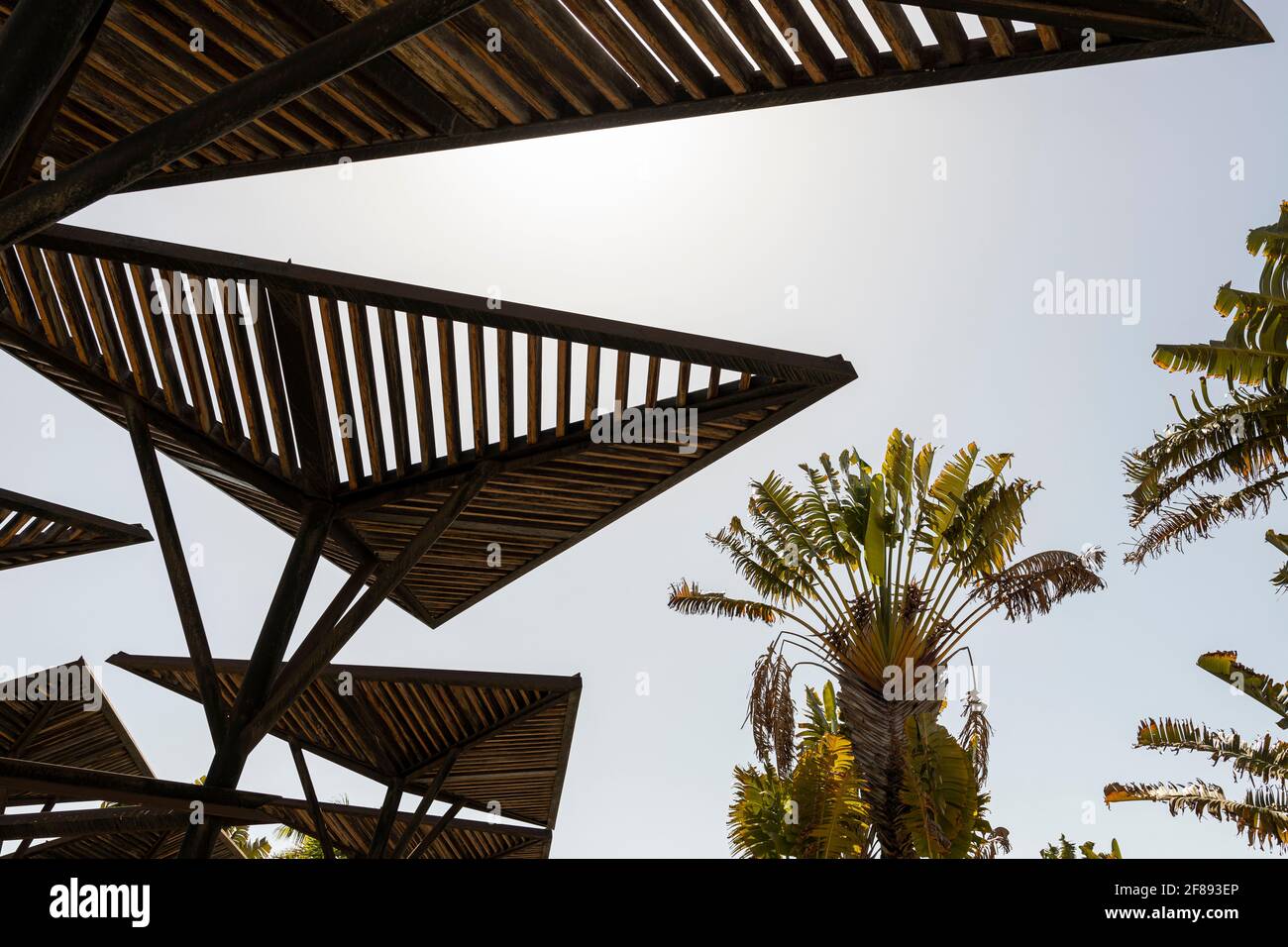 I tetti di legno a doghe triangolari offrono un po' di ombra su un passaggio pedonale a Playa de Las Americas, Tenerife, Isole Canarie, Spagna Foto Stock