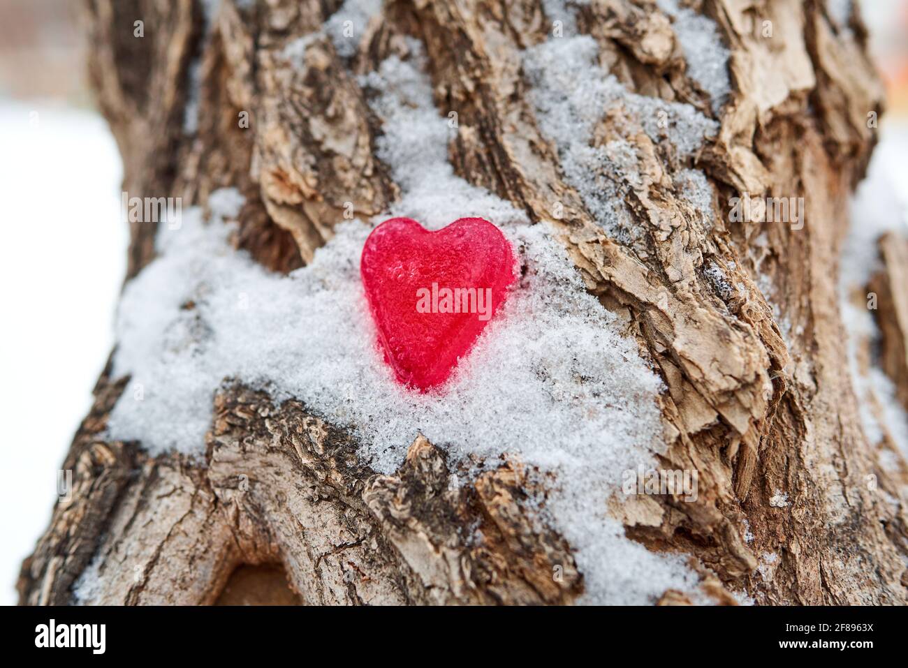 Una figurina rossa di un cuore fatto di ghiaccio si trova nella neve sulla corteccia di un albero. Concetto di amore non riquintato. Sfondo sfocato, spazio di copia Foto Stock