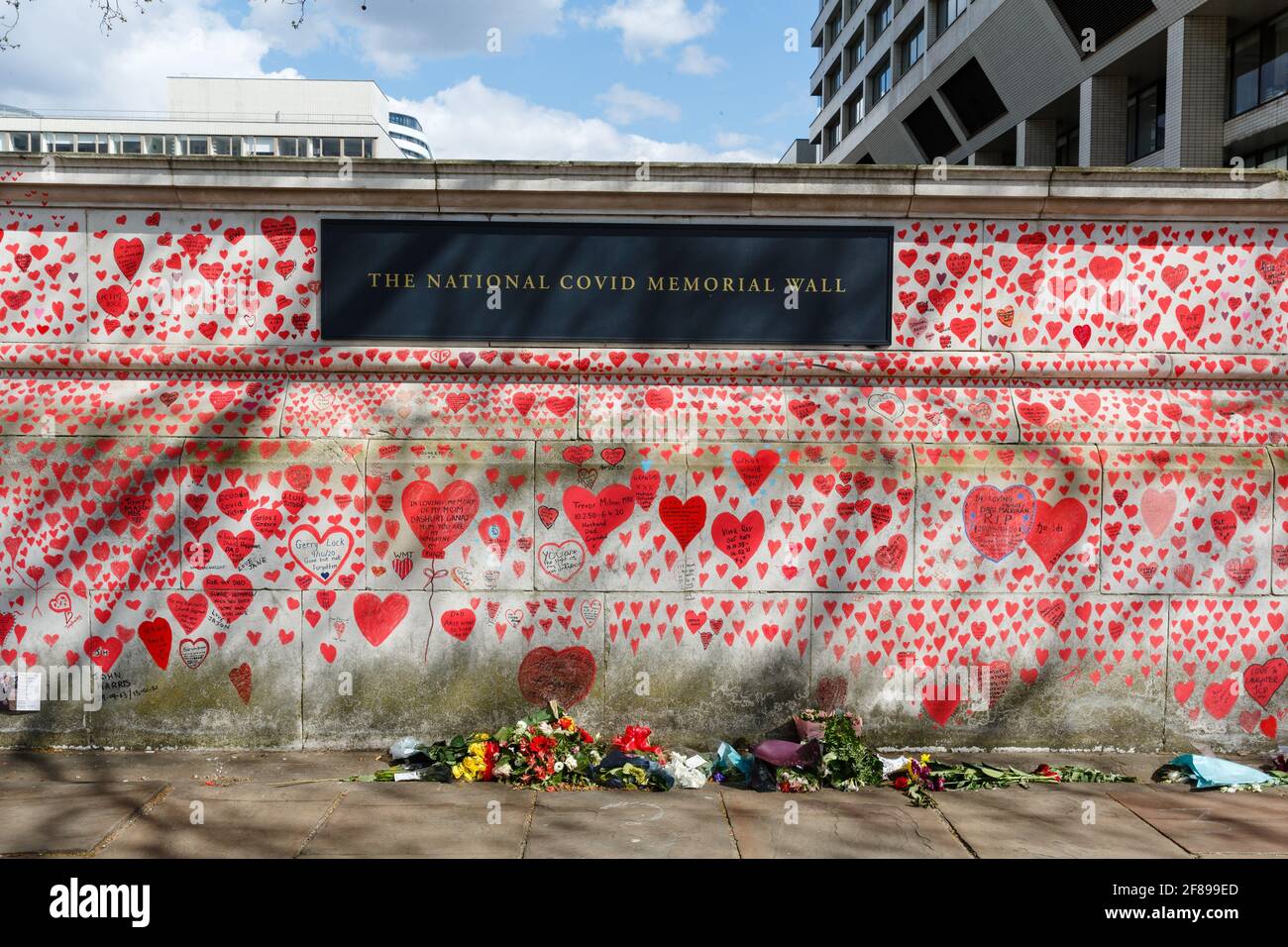 Albert Embankment, Londra, Regno Unito. 12 aprile 2021cuori rossi dipinse sul National Covid Memorial Wall come tributo alle vittime britanniche della Corona Foto Stock