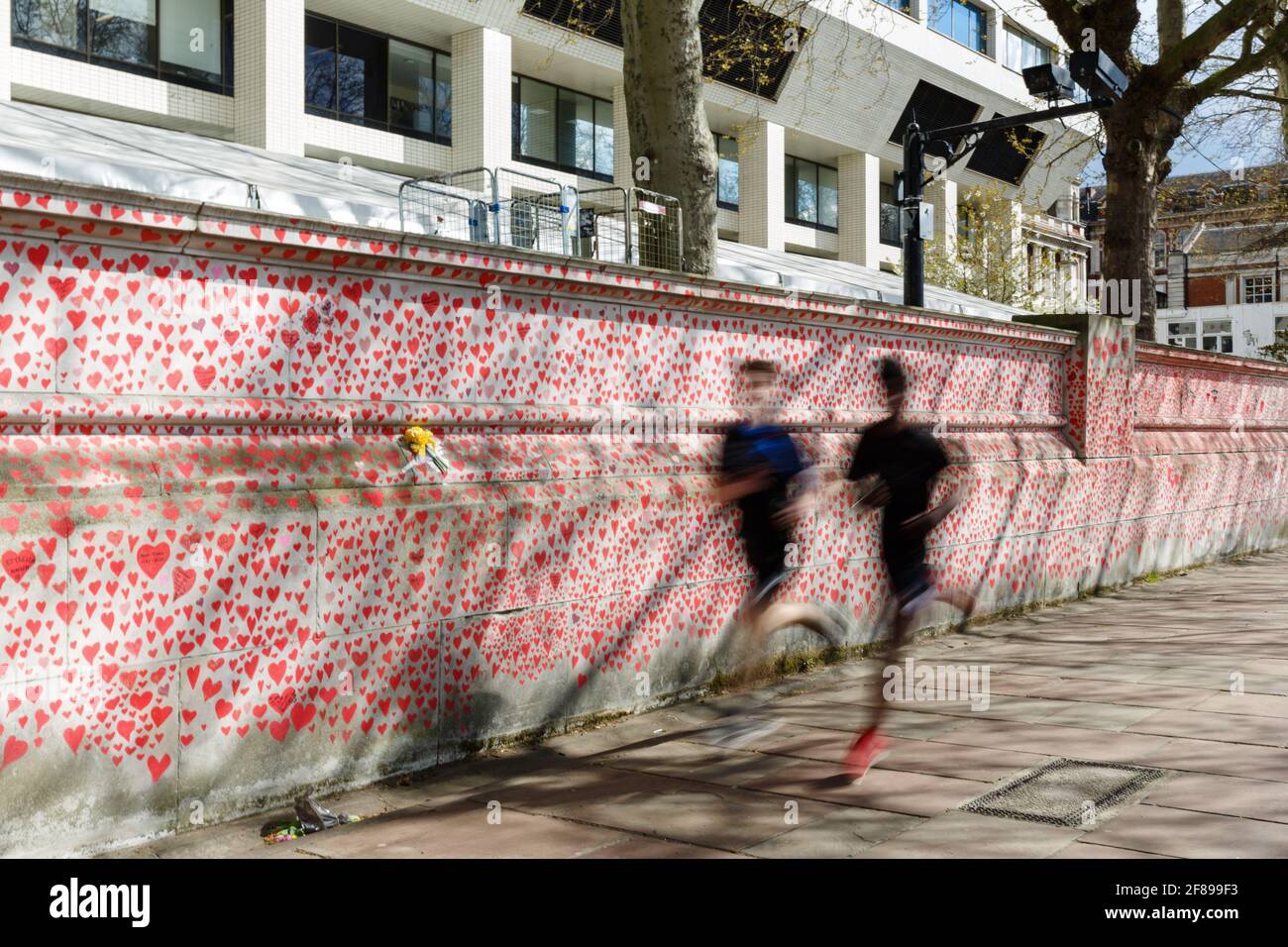 Albert Embankment, Londra, Regno Unito. 12 aprile 2021cuori rossi dipinse sul National Covid Memorial Wall come tributo alle vittime britanniche della Corona Foto Stock