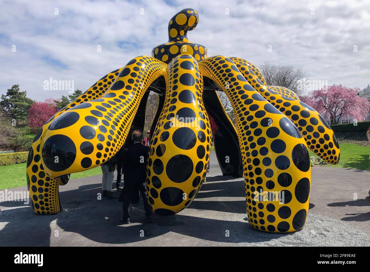 Bronx, Stati Uniti. 10 Apr 2021. 'Dancing Pumpkin' (2020) è una delle opere DI KUSAMA: Cosmic Nature mostra dell'artista giapponese Yayoi Kusama in mostra presso il New York Botanical Garden del Bronx, New York, il 10 aprile 2021. La mostra si svolge dal 10 aprile al 31 ottobre 2021. (Foto di Samuel Rigelhaupt/Sipa USA) Credit: Sipa USA/Alamy Live News Foto Stock