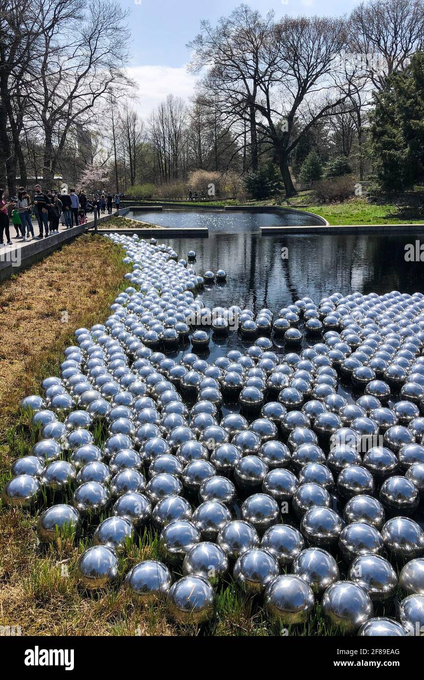 Bronx, Stati Uniti. 10 Apr 2021. 'Narcissus Garden' (1966/2021) fa parte DI KUSAMA: Cosmic Nature Exhibition dell'artista giapponese Yayoi Kusama in esposizione presso il New York Botanical Garden del Bronx, New York, il 10 aprile 2021. La mostra si svolge dal 10 aprile al 31 ottobre 2021. (Foto di Samuel Rigelhaupt/Sipa USA) Credit: Sipa USA/Alamy Live News Foto Stock