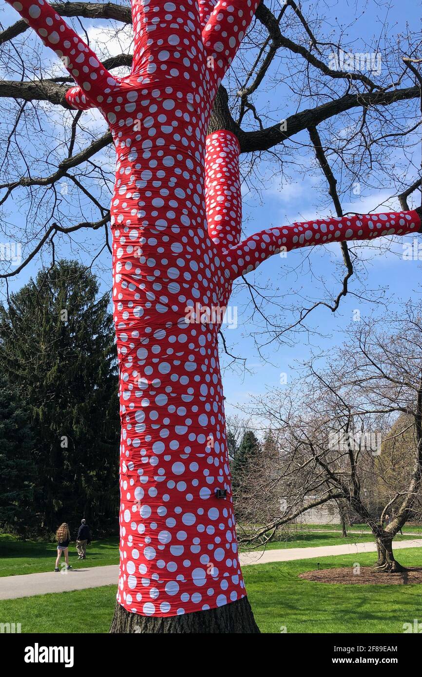 Bronx, Stati Uniti. 10 Apr 2021. 'Ascension of Polka dots on the Trees' (2002/2021) fa parte DI KUSAMA: Cosmic Nature Exhibition dell'artista giapponese Yayoi Kusama in esposizione presso il Giardino Botanico di New York nel Bronx, New York, il 10 aprile 2021. La mostra si svolge dal 10 aprile al 31 ottobre 2021. (Foto di Samuel Rigelhaupt/Sipa USA) Credit: Sipa USA/Alamy Live News Foto Stock