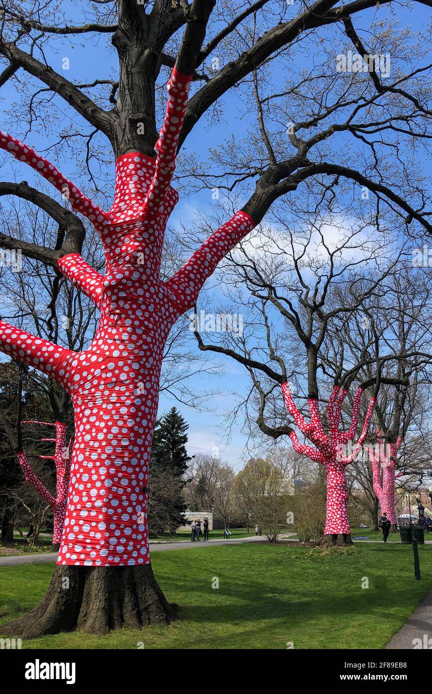 Bronx, Stati Uniti. 10 Apr 2021. 'Ascension of Polka dots on the Trees' (2002/2021) fa parte DI KUSAMA: Cosmic Nature Exhibition dell'artista giapponese Yayoi Kusama in esposizione presso il Giardino Botanico di New York nel Bronx, New York, il 10 aprile 2021. La mostra si svolge dal 10 aprile al 31 ottobre 2021. (Foto di Samuel Rigelhaupt/Sipa USA) Credit: Sipa USA/Alamy Live News Foto Stock