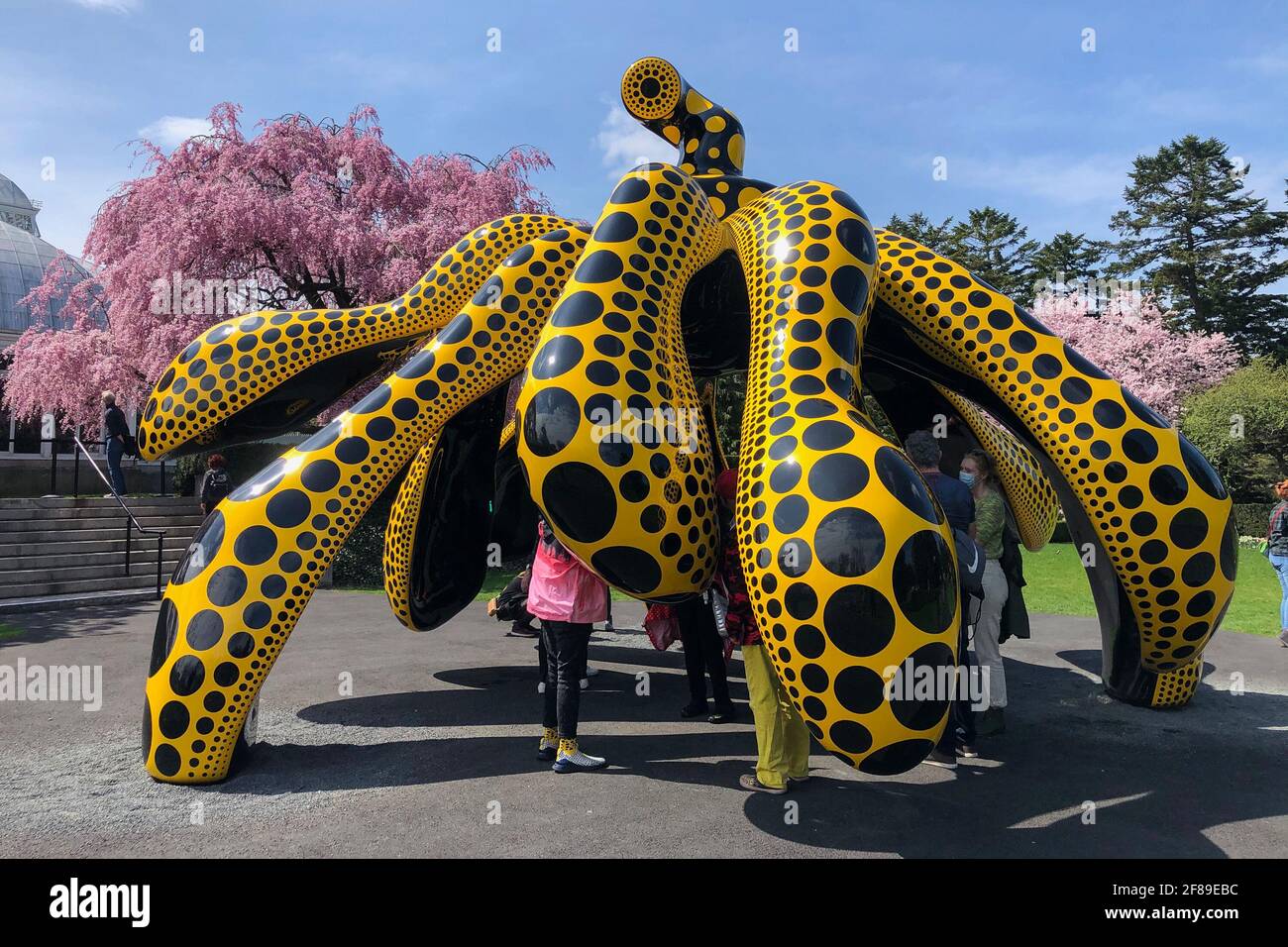 Bronx, Stati Uniti. 10 Apr 2021. 'Dancing Pumpkin' (2020) è una delle opere DI KUSAMA: Cosmic Nature mostra dell'artista giapponese Yayoi Kusama in mostra presso il New York Botanical Garden del Bronx, New York, il 10 aprile 2021. La mostra si svolge dal 10 aprile al 31 ottobre 2021. (Foto di Samuel Rigelhaupt/Sipa USA) Credit: Sipa USA/Alamy Live News Foto Stock