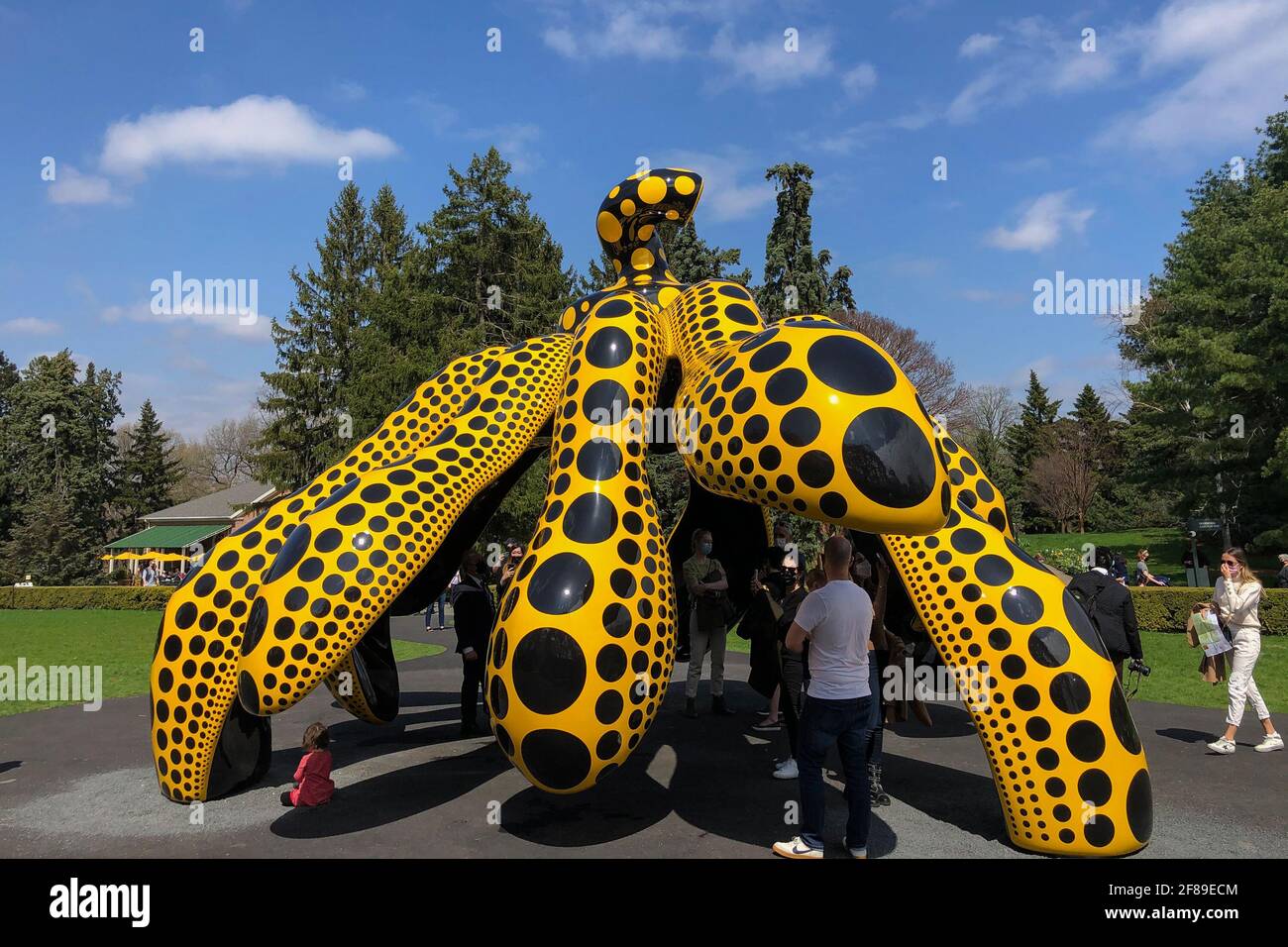 Bronx, Stati Uniti. 10 Apr 2021. 'Dancing Pumpkin' (2020) è una delle opere DI KUSAMA: Cosmic Nature mostra dell'artista giapponese Yayoi Kusama in mostra presso il New York Botanical Garden del Bronx, New York, il 10 aprile 2021. La mostra si svolge dal 10 aprile al 31 ottobre 2021. (Foto di Samuel Rigelhaupt/Sipa USA) Credit: Sipa USA/Alamy Live News Foto Stock