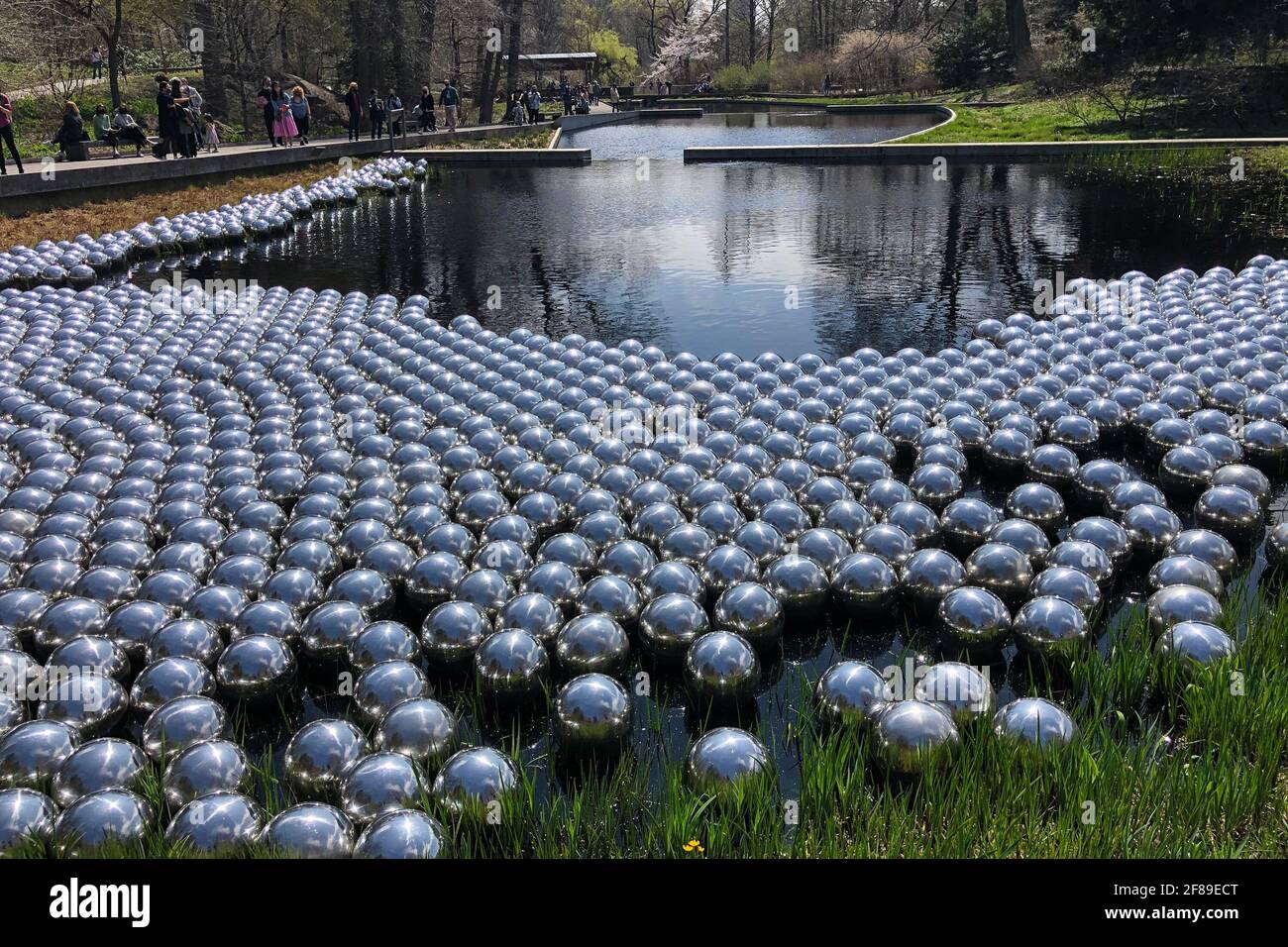 Bronx, Stati Uniti. 10 Apr 2021. 'Narcissus Garden' (1966/2021) fa parte DI KUSAMA: Cosmic Nature Exhibition dell'artista giapponese Yayoi Kusama in esposizione presso il New York Botanical Garden del Bronx, New York, il 10 aprile 2021. La mostra si svolge dal 10 aprile al 31 ottobre 2021. (Foto di Samuel Rigelhaupt/Sipa USA) Credit: Sipa USA/Alamy Live News Foto Stock
