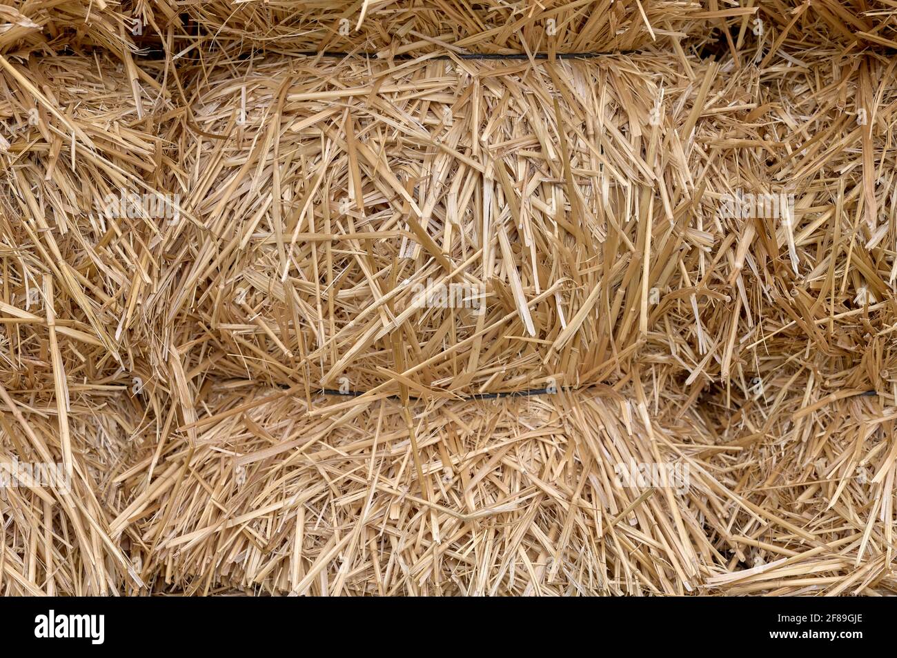 dettaglio delle balle di paglia accatastate in su su in una fattoria Foto Stock