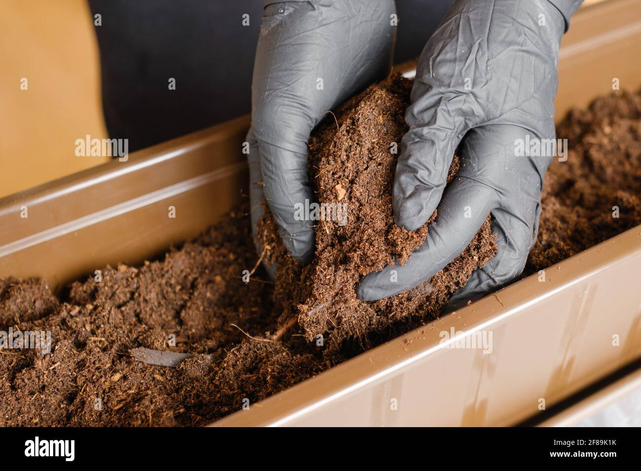 Le mani della donna nei guanti di gomma nera che preparano la terra o il terreno per piantare le piante nel vaso. Foto Stock
