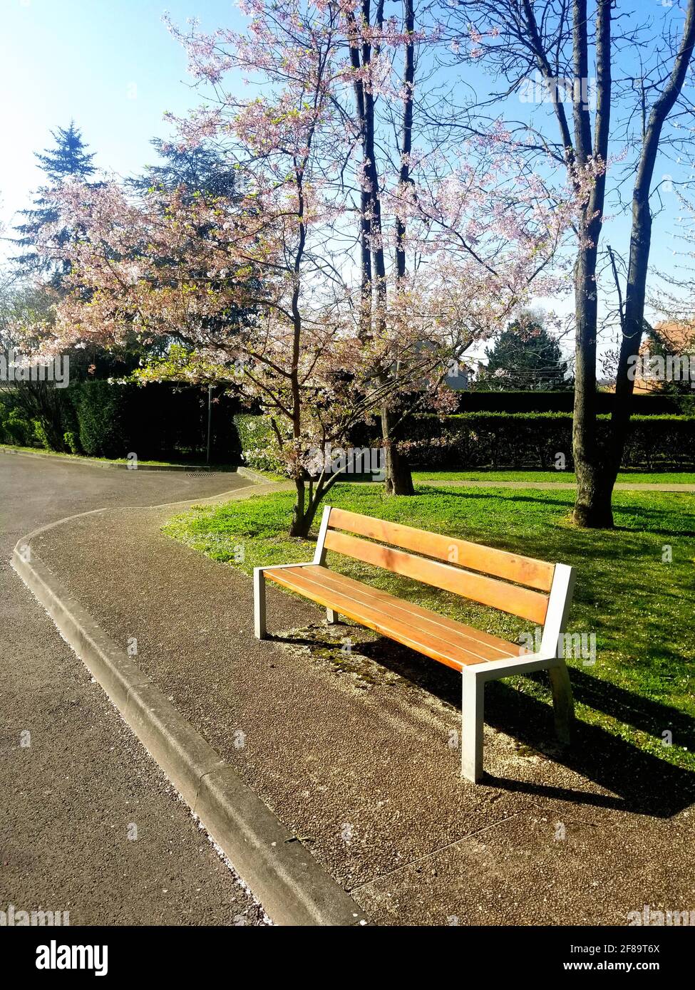 Una panchina moderna in un parco in francia Foto Stock