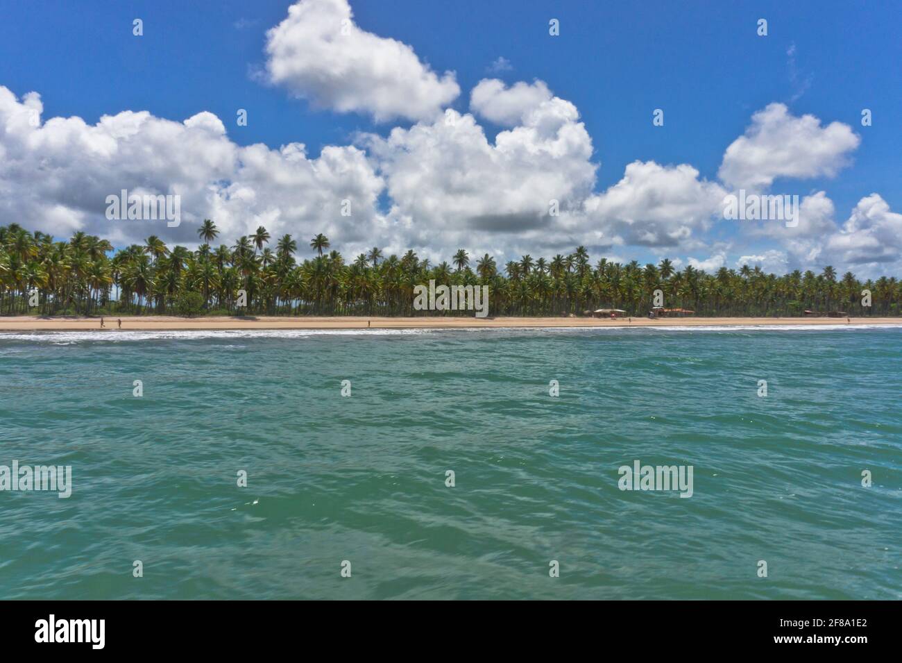 Morro de Sao Paulo, Boipeba Tropical vista spiaggia, Bahia, Brasile, Sud America Foto Stock