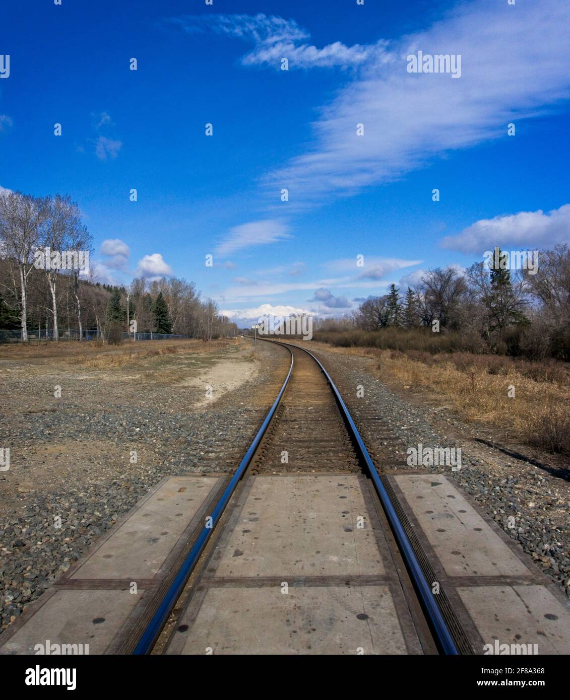 Ferrovia Edworthy Park Calgary Alberta Foto Stock