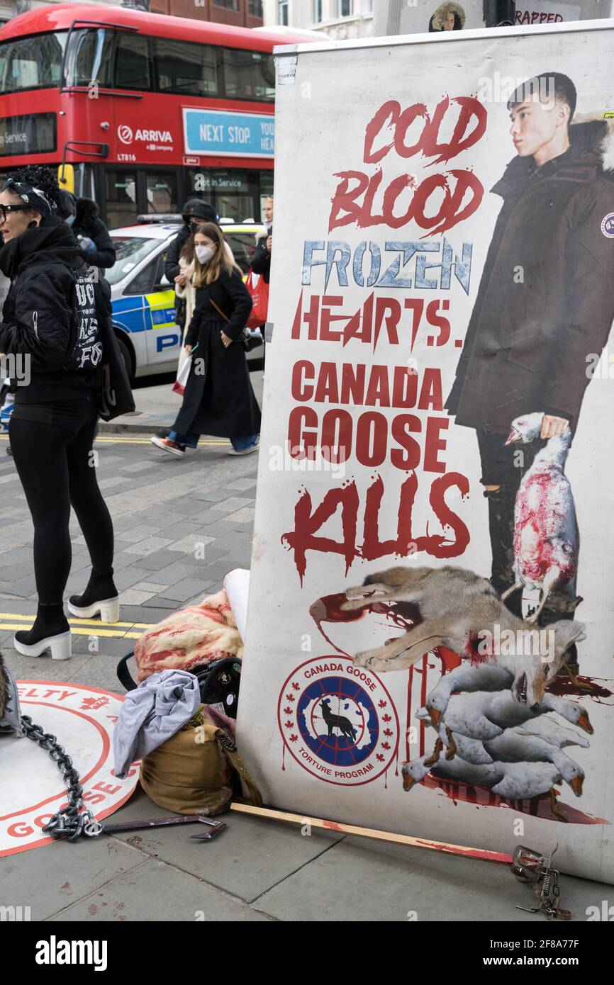 Londra 12 aprile 2021: Attivisti di Peta protestano fuori da un negozio 'Canada Goose' contro la crudeltà animale su Regent Street, Regno Unito Foto Stock