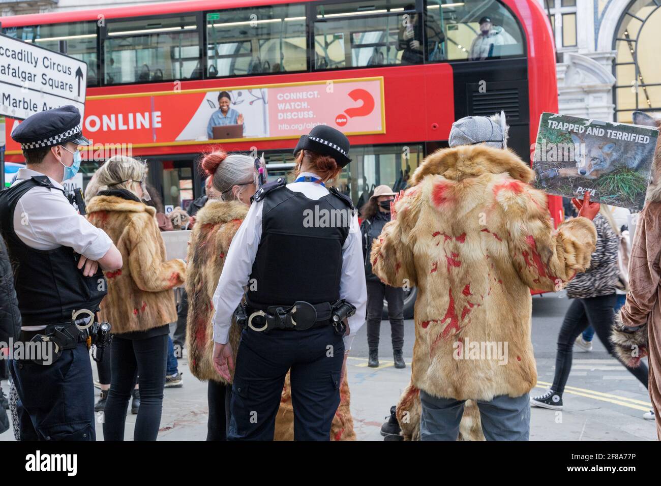 Londra 12 aprile 2021: Attivisti di Peta protestano fuori da un negozio 'Canada Goose' contro la crudeltà animale su Regent Street, Regno Unito Foto Stock