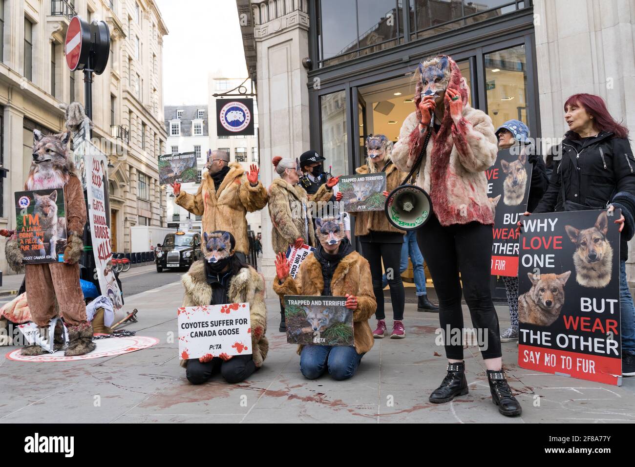 Londra 12 aprile 2021: Attivisti di Peta protestano fuori da un negozio 'Canada Goose' contro la crudeltà animale su Regent Street, Regno Unito Foto Stock