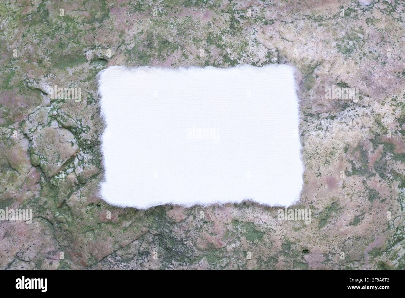 Carta bianca strappata bianca bianca bianca sulla superficie della pietra. Disposizione piatta, vista dall'alto. Foto Stock