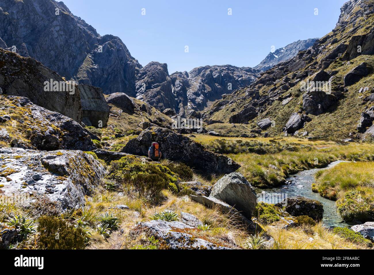 Valle dei Trolls, Routeburn, Nuova Zelanda Foto Stock