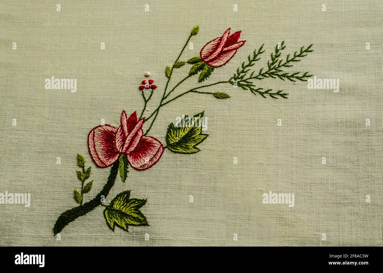 Un bel rametto ricamato con rose piccole e un bocciolo, un rametto di conifere e piccole bacche rosse su un tessuto di cotone bianco. Foto Stock
