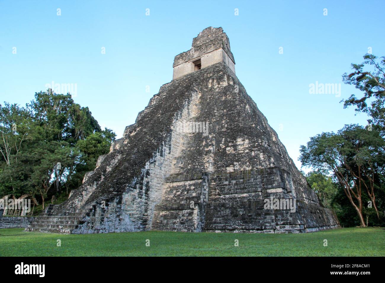 Rovine del tempio a Tikal, Guatemala Foto Stock