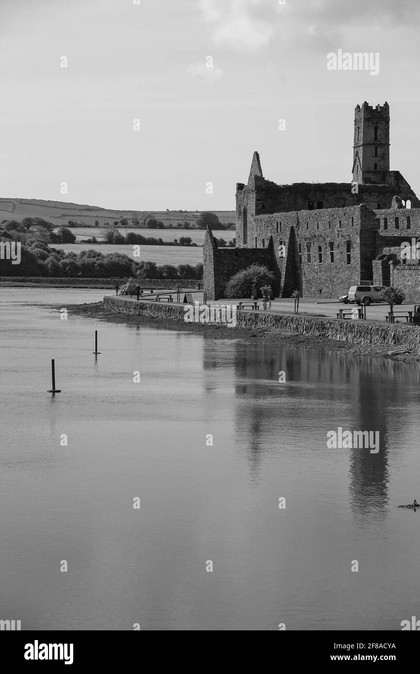 Bianco e nero delle rovine dell'abbazia di Timoleague riflesso in acqua a Cork ovest, Irlanda Foto Stock