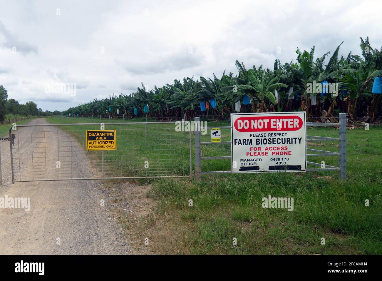 Cartello di biosicurezza/quarantena della fattoria all'ingresso della banana farm, Atherton Tableland, vicino a Cairns, Queensland, Australia. No PR Foto Stock