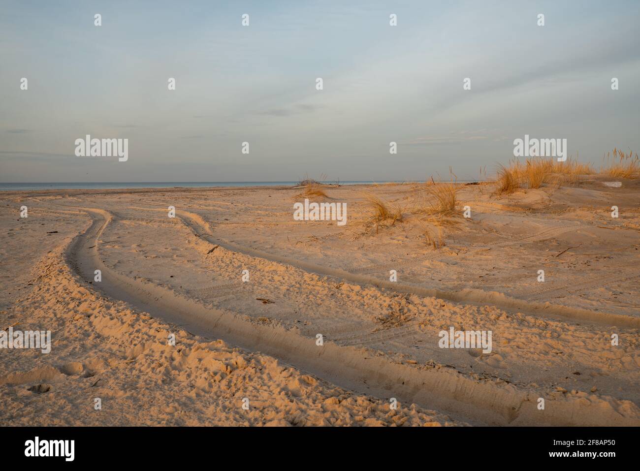 Tracce di pneumatici di un'auto fuoristrada che guida sulla spiaggia Foto Stock