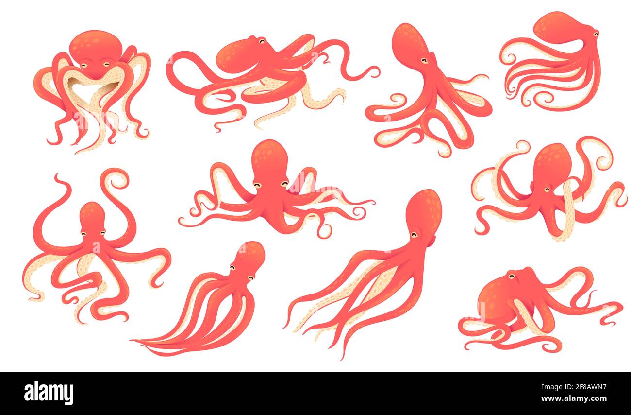 Set di polpo rosso adulto sottomarino animale animale oceano cartone animato progettare l'illustrazione vettoriale su sfondo bianco Illustrazione Vettoriale